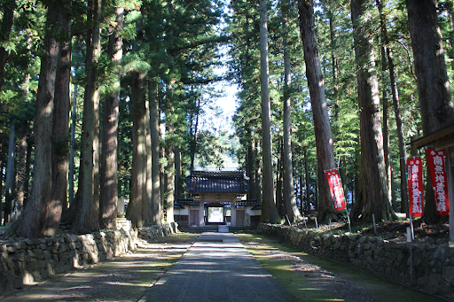 眼目山立山寺には美しい栂(トガ)の並木が