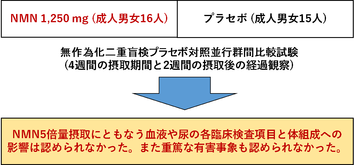 ニコチンアミドモノヌクレオチド (NMN)のヒト安全性試験の学術雑誌への掲載について