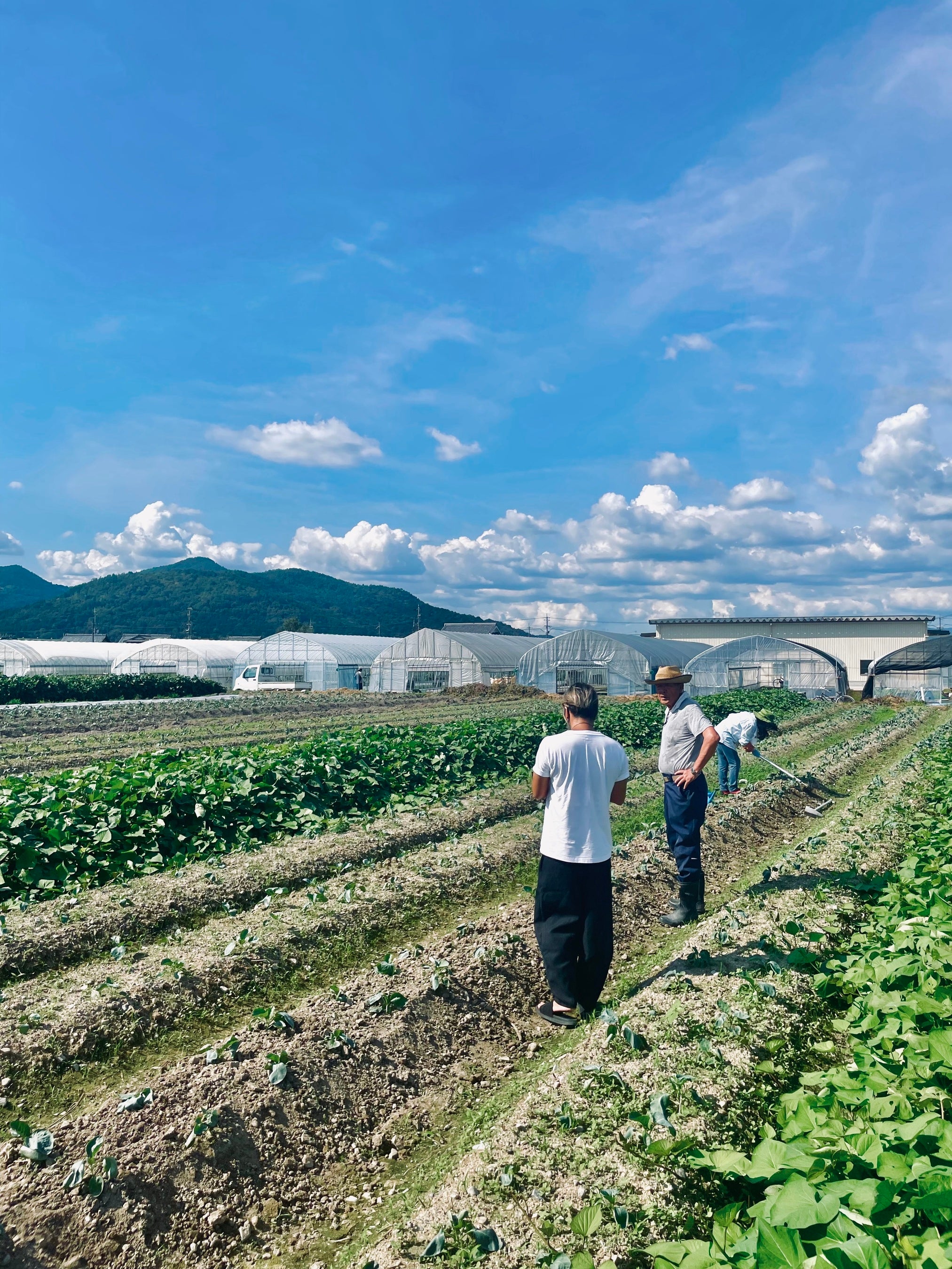 新しい形の時代に合った『野菜が食べれる青果店』が本格始動。