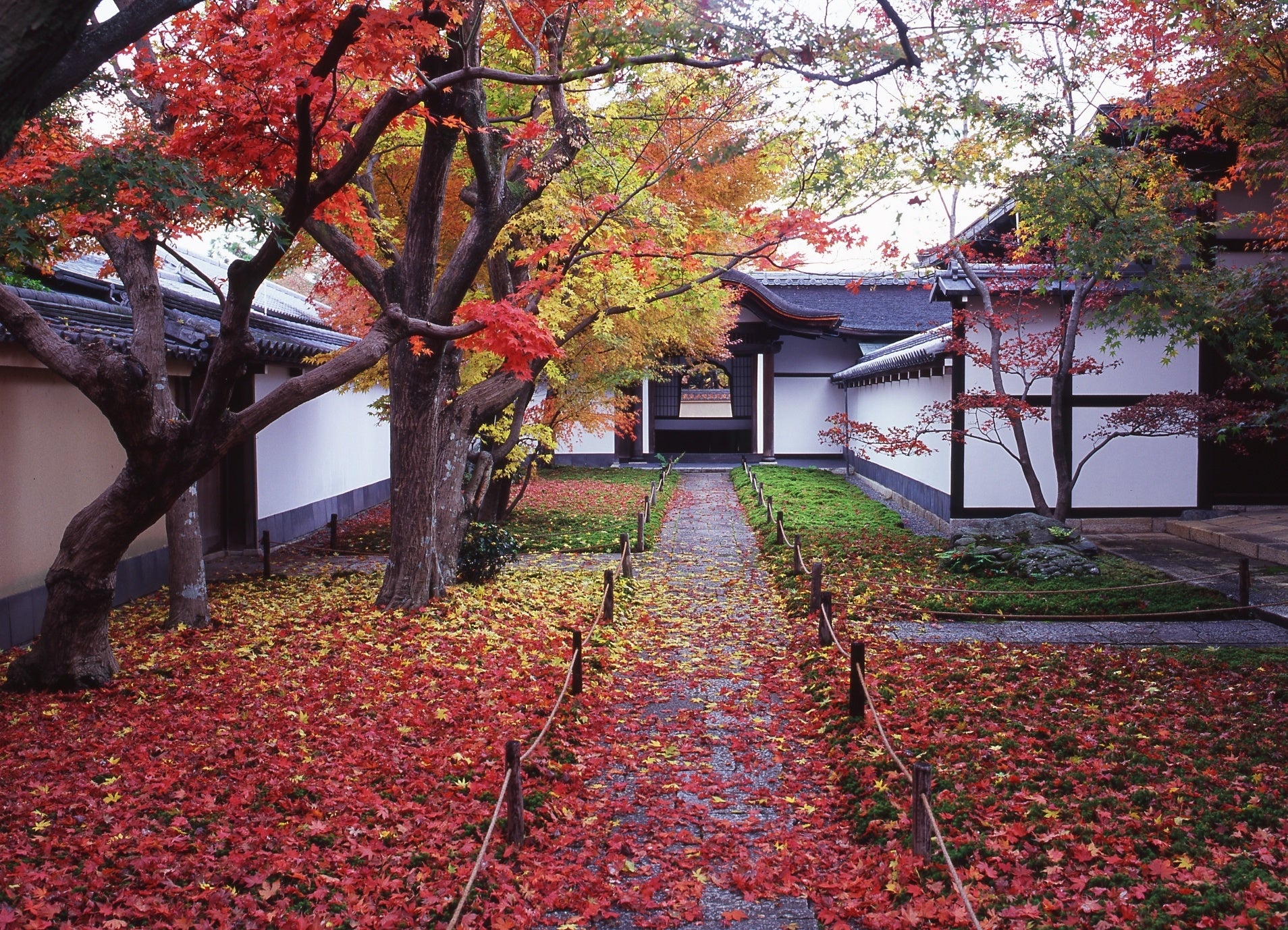 大徳寺 黄梅院 