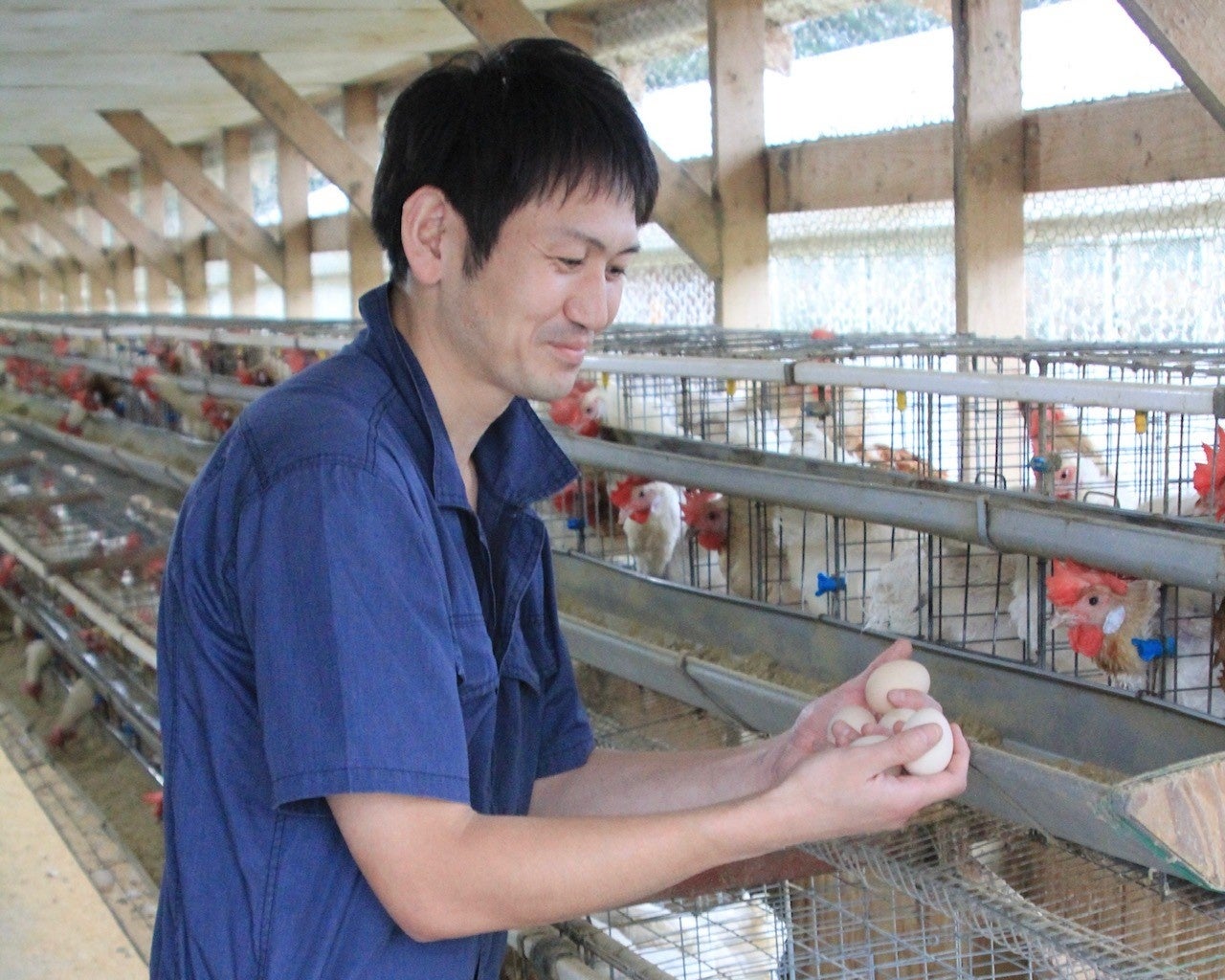 竹内養鶏場 白い卵