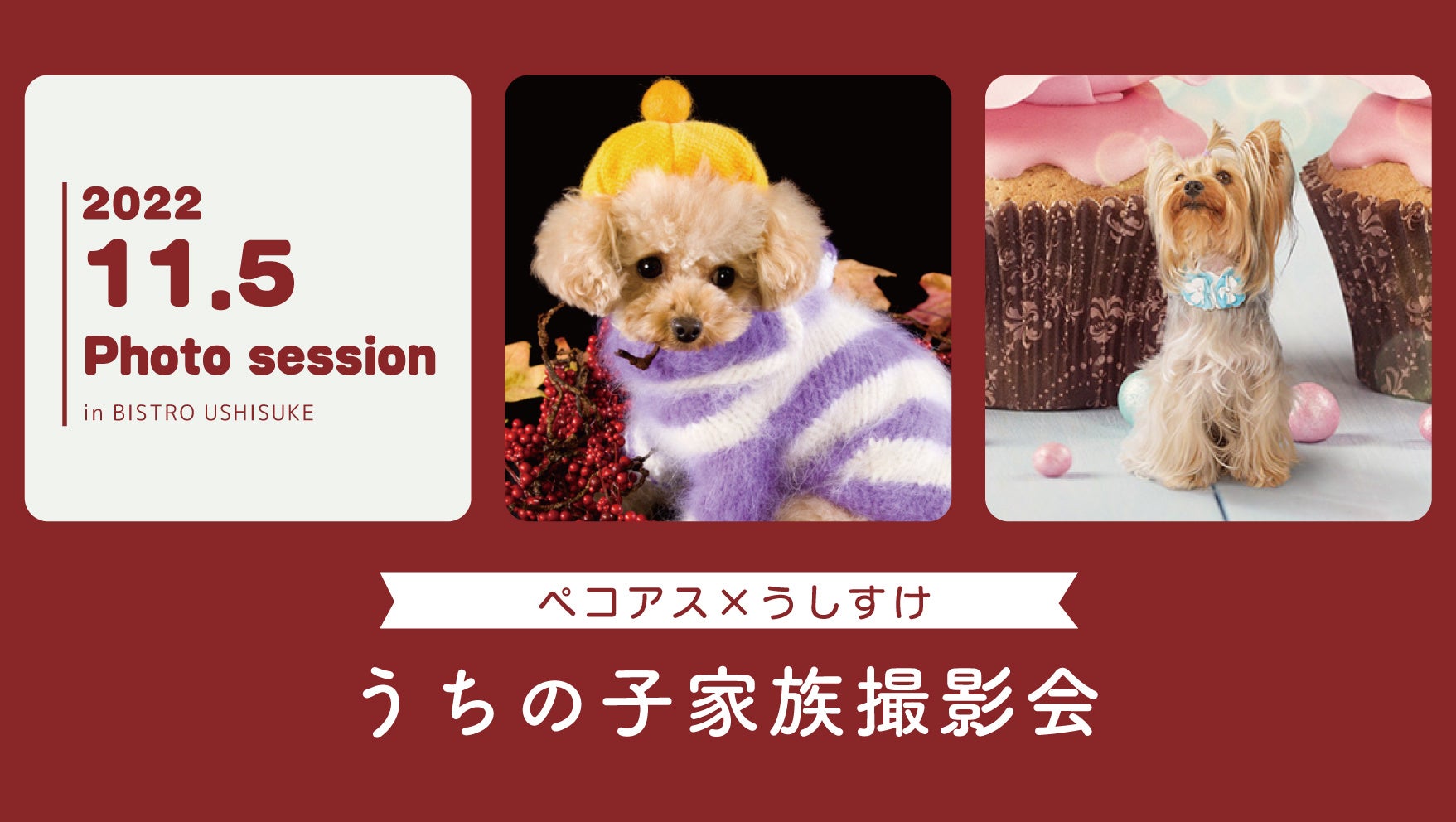 愛犬との想い出をカタチに。第10弾うしすけ×ペコアス撮影会イベント開催のお知らせ！