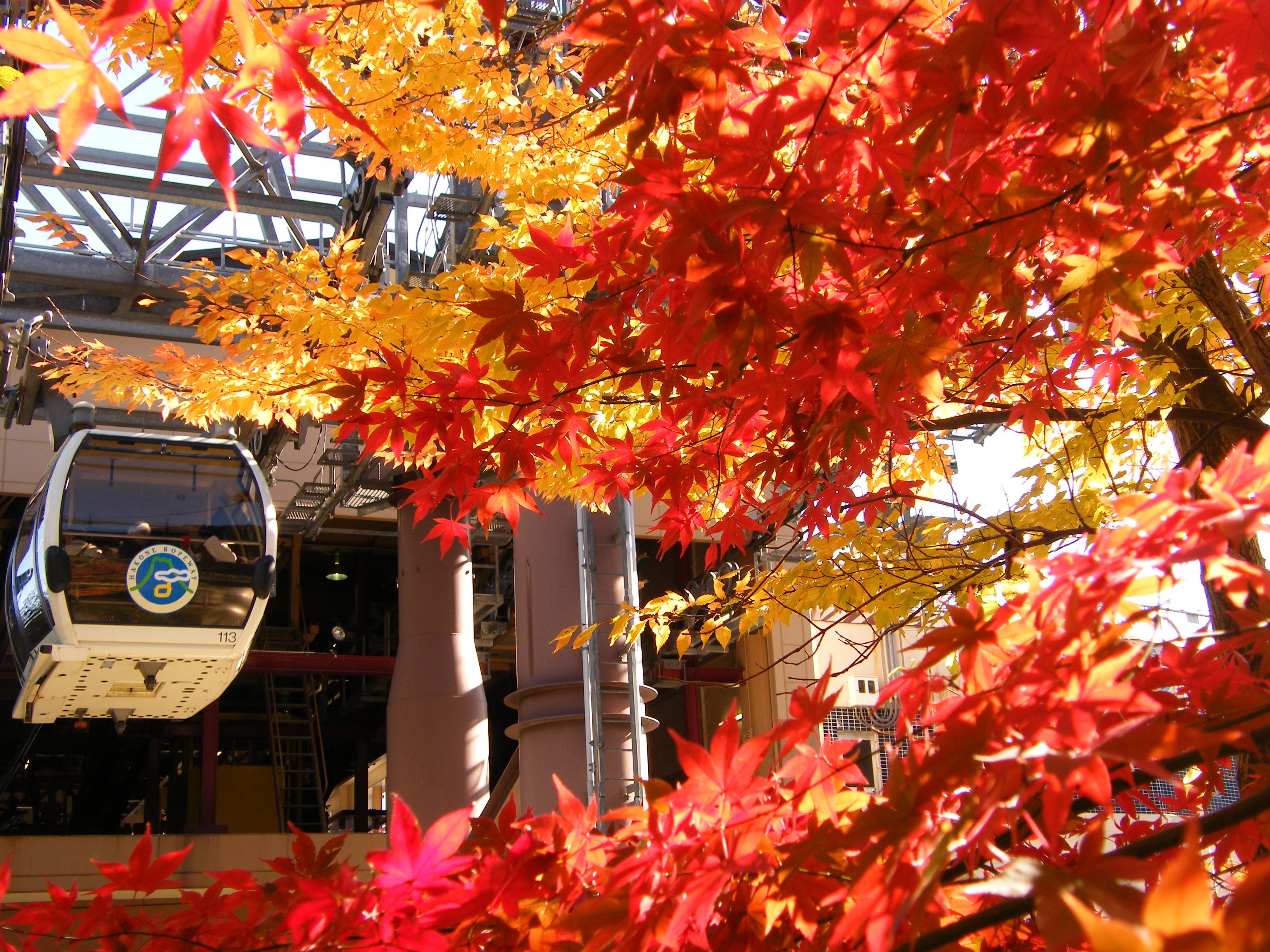 箱根　紅葉（イメージ）