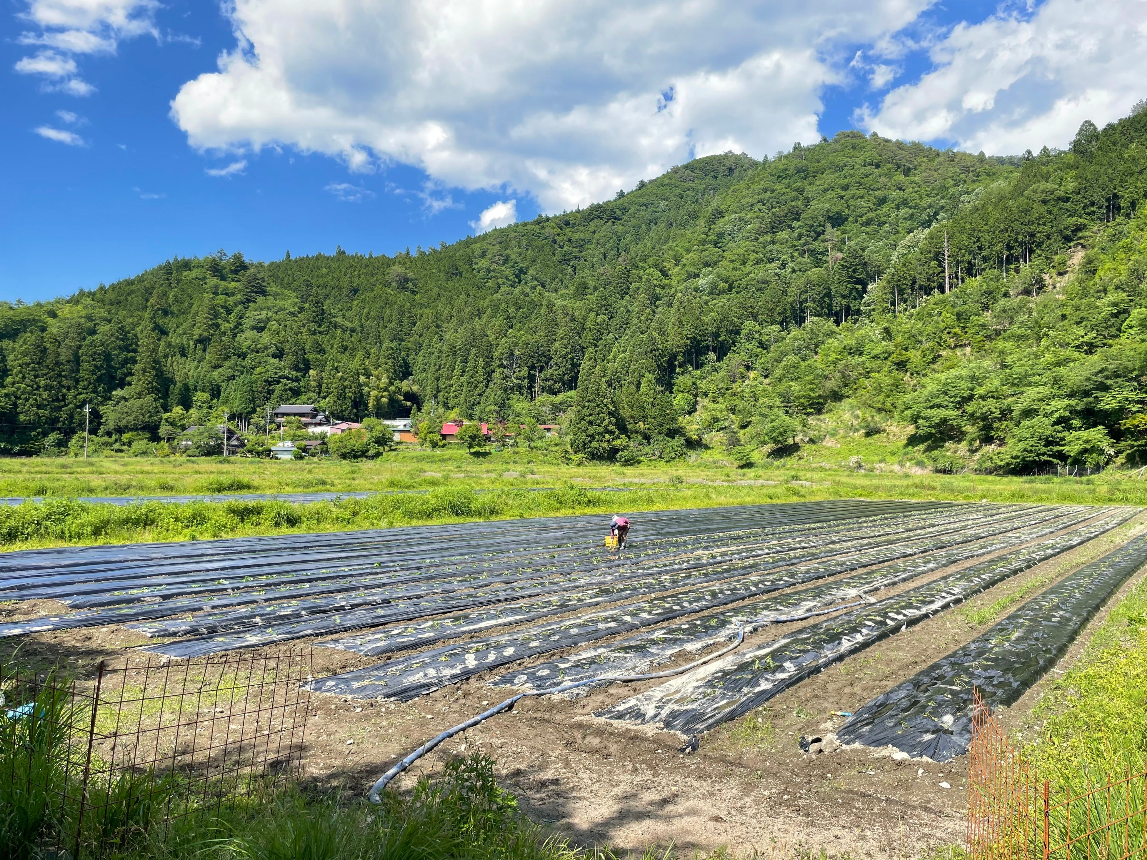 熟成蜜焼き芋と蜜芋スイーツのお店 京都芋屋 芋と野菜（本店:四条河原町店）が東北地方へ初出店。～全国焼き芋グランプリ 2022 準グランプリ受賞店舗～