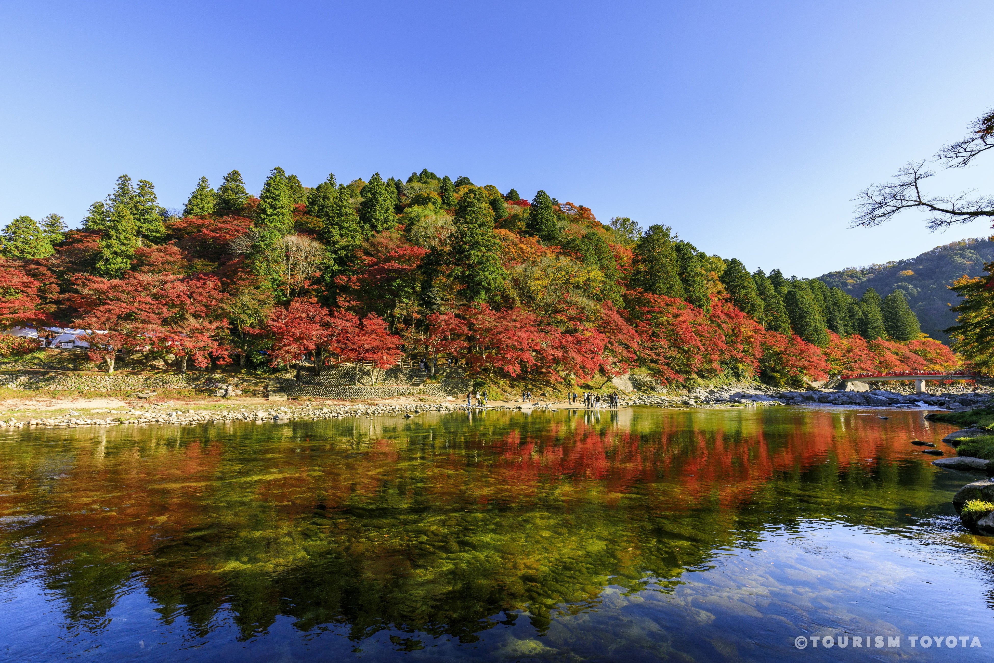 まもなく豊田市の紅葉の見頃到来！ツーリズムとよたHPで「とよたの紅葉・見頃情報2022」公開中！