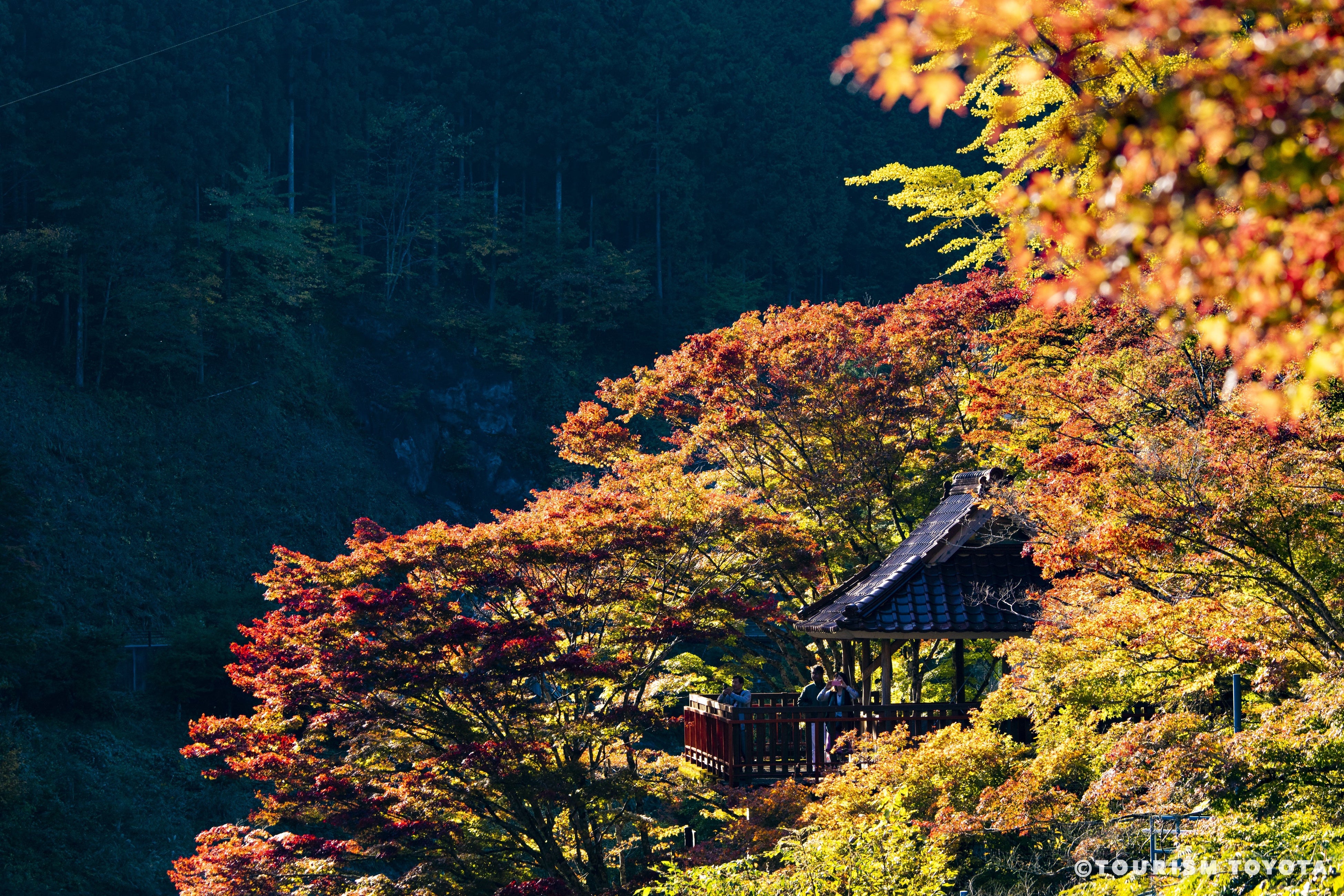 大井平公園