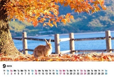 Takehara-Usagi-Calendar