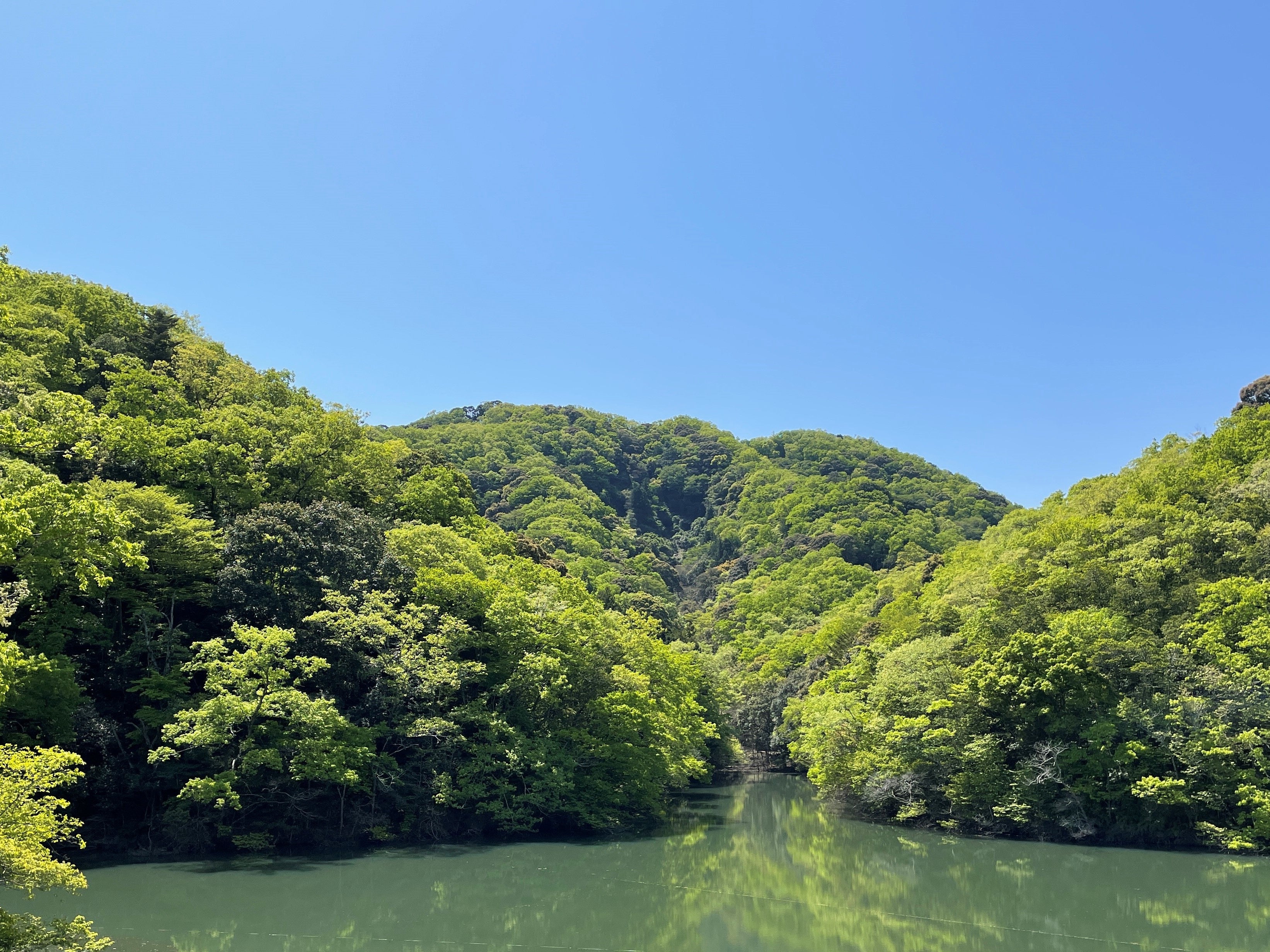 VISONフクロウをシンボルとした生物多様性のある森づくり