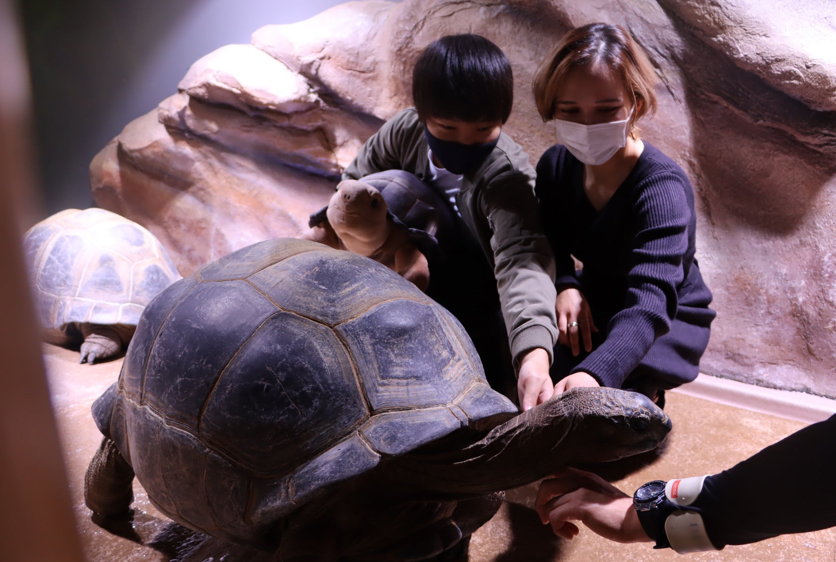 アルダブラゾウガメ「ショコラ」と一緒に記念撮影