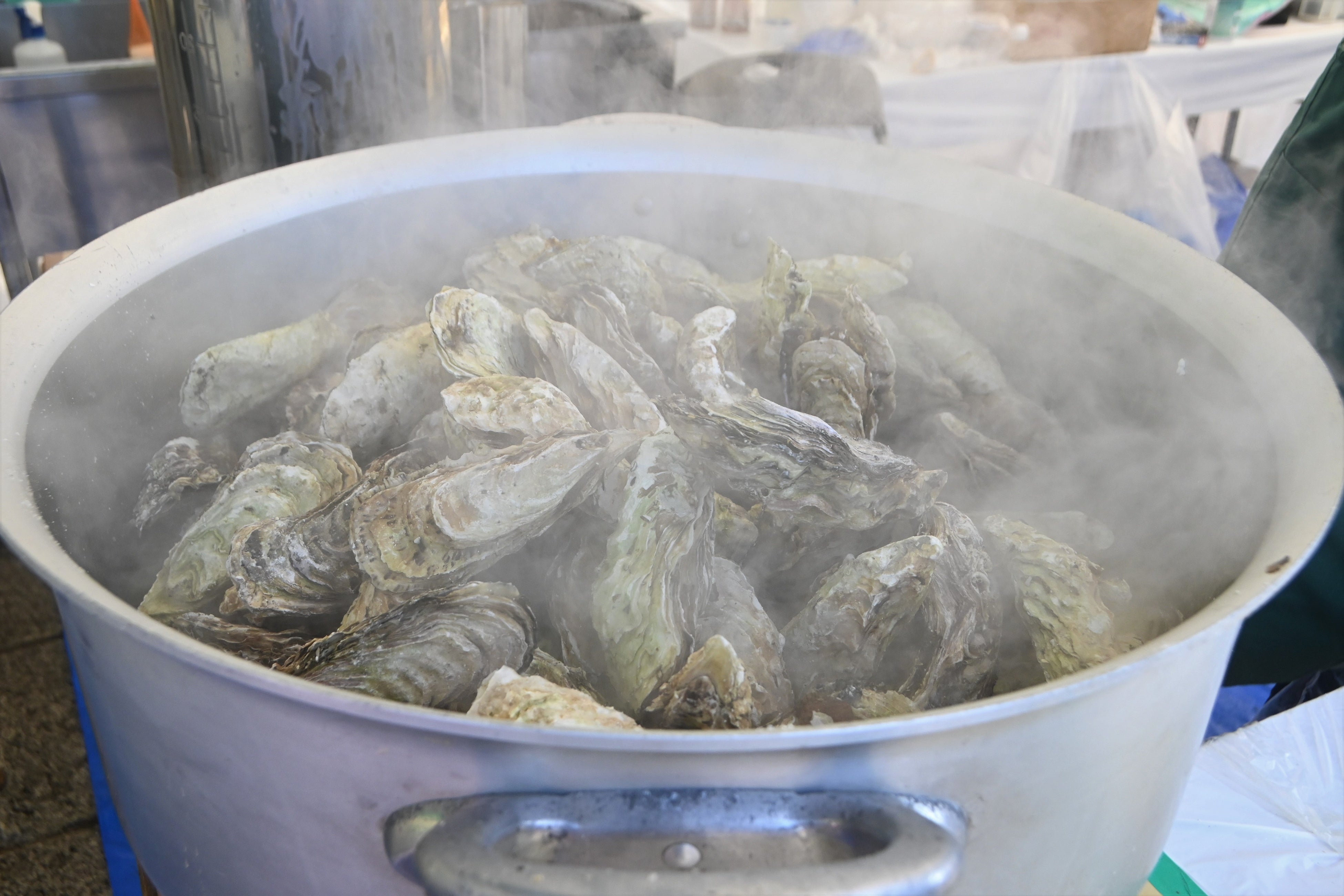 宮城県・南三陸町の丸壽阿部商店の「殻付き牡蠣の蒸し焼き」は絶えず長い行列となり、お昼頃には完売となりました。