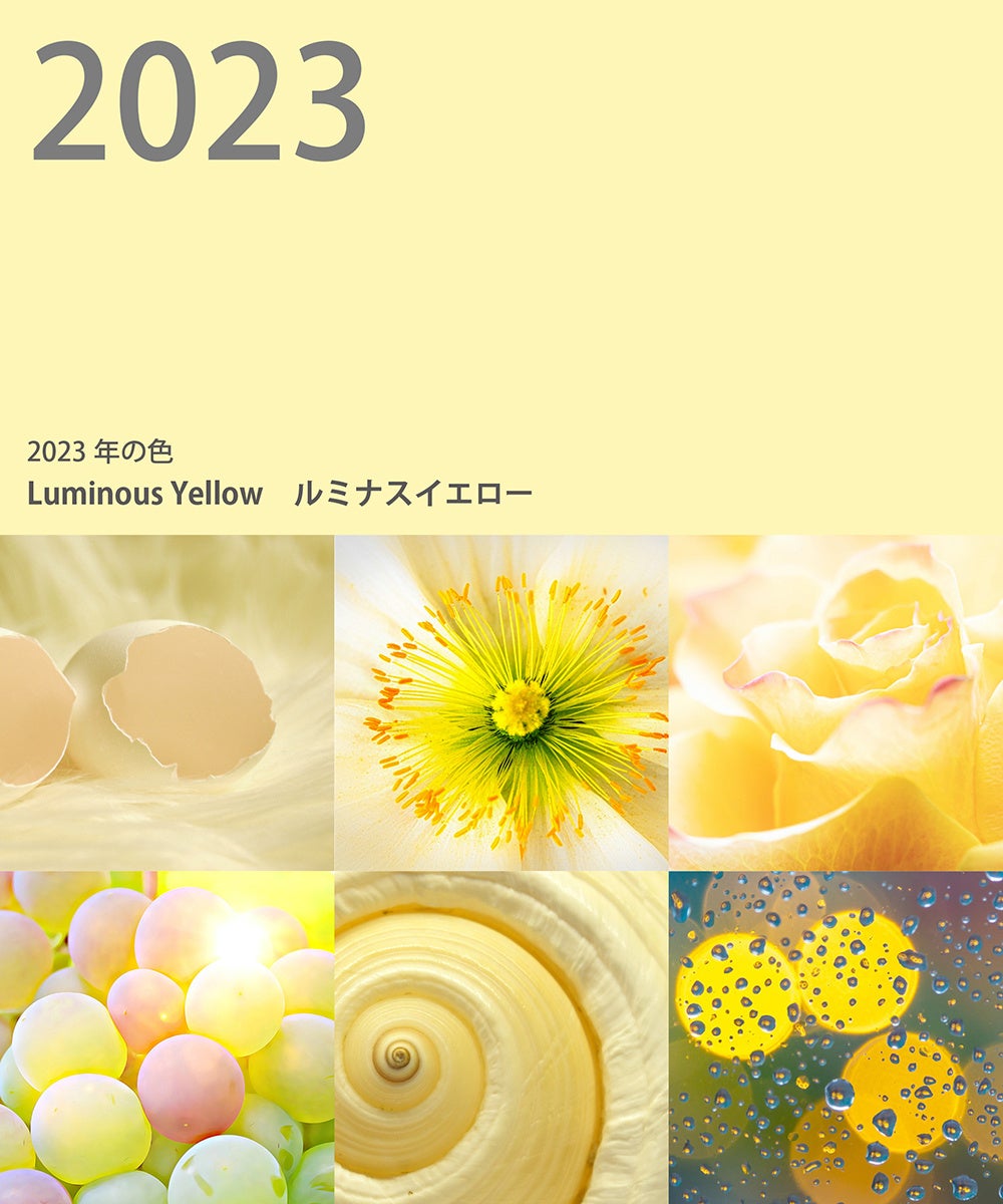 発表！2023年の色は「やさしさに包まれるイエロー」