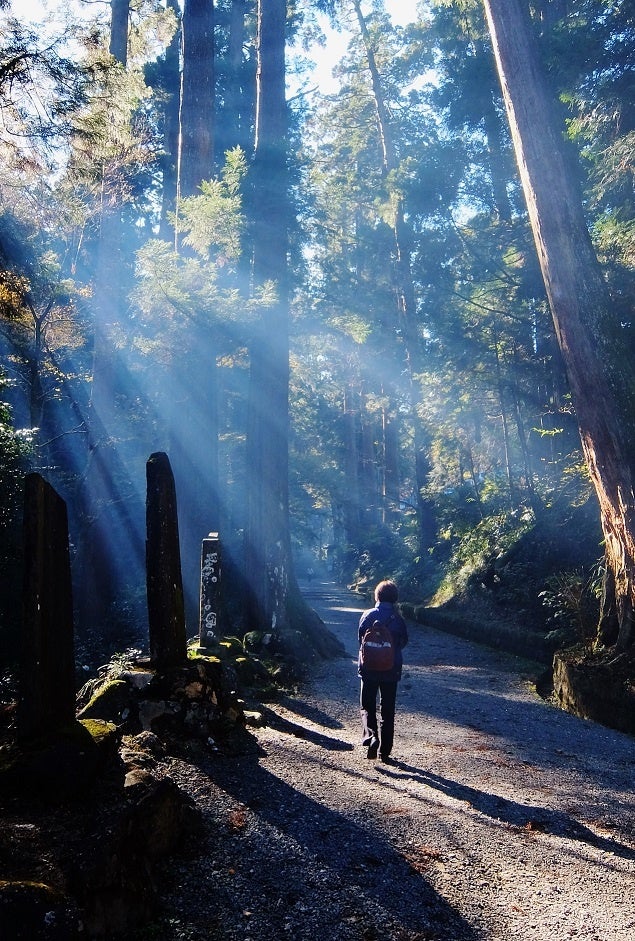 最乗寺の参道（南足柄市）