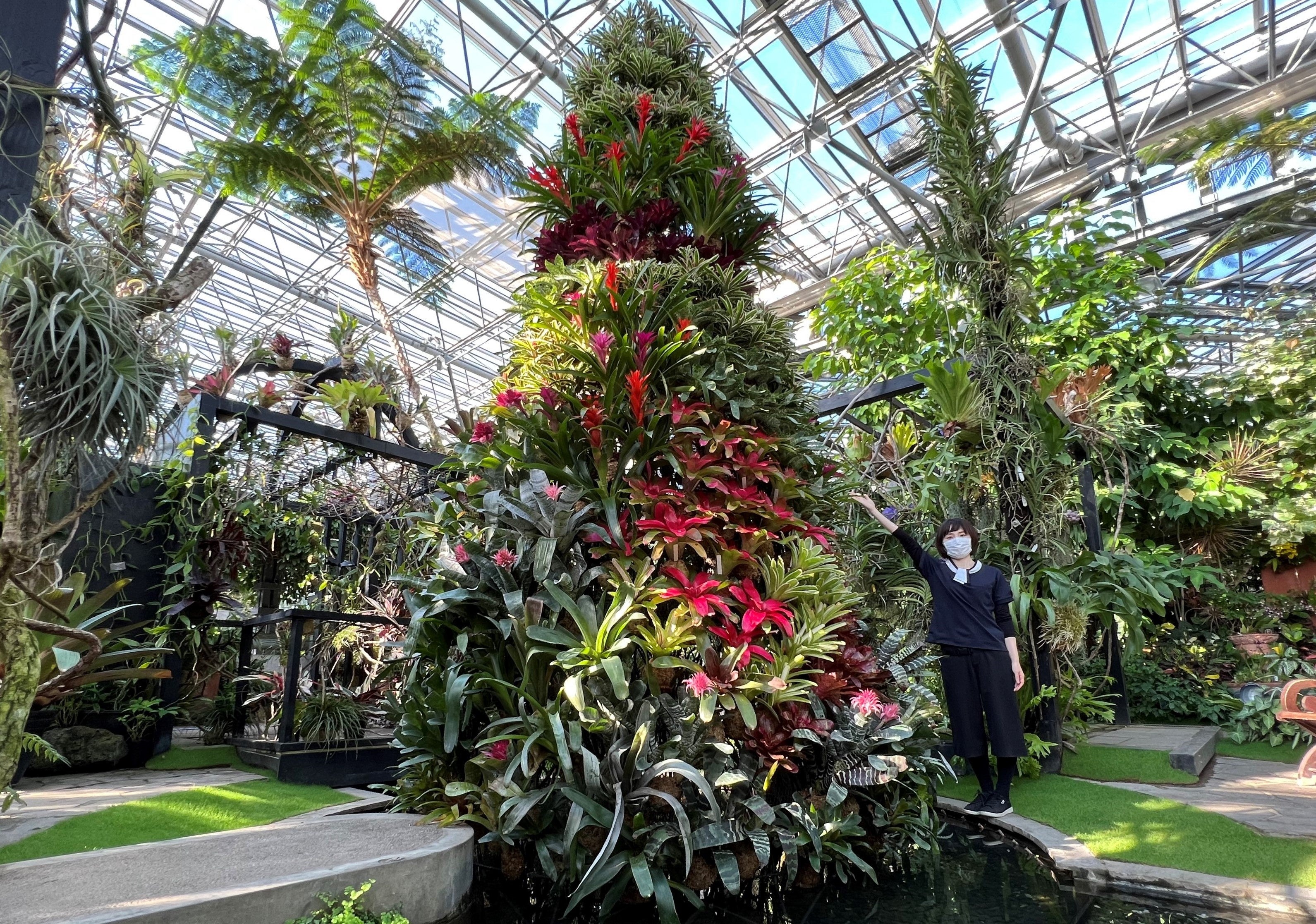 高さ5ｍ、15種類200株のパイナップル科の植物で作られたトロピカルツリー