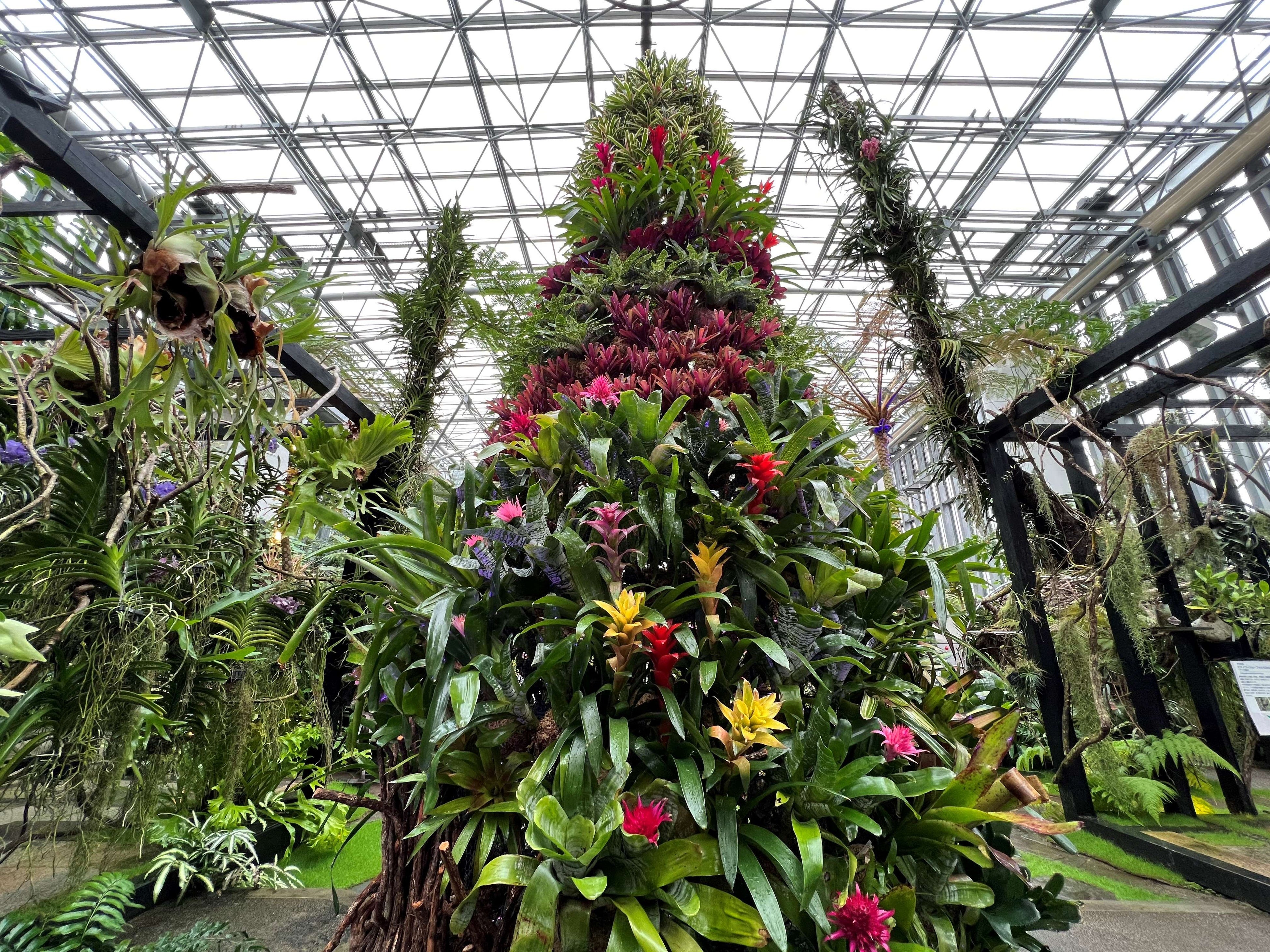  高さ5ｍ、15種類200株のパイナップル科の植物で作られたトロピカルツリー