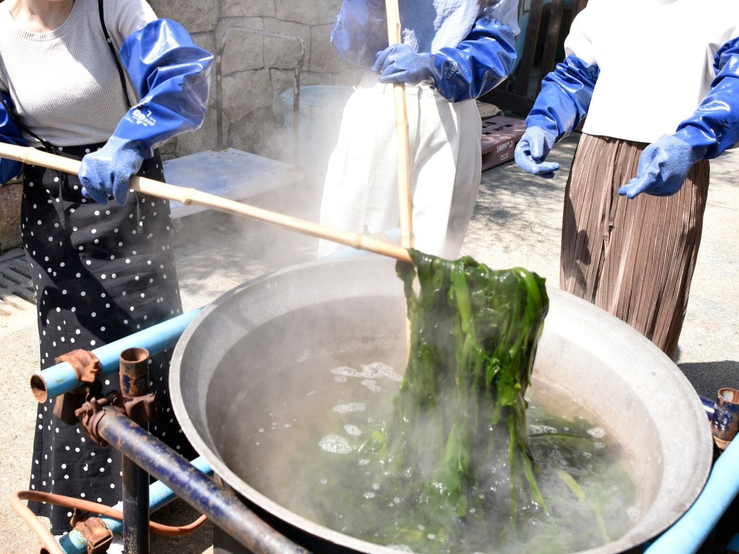 大釜で生わかめを湯通し