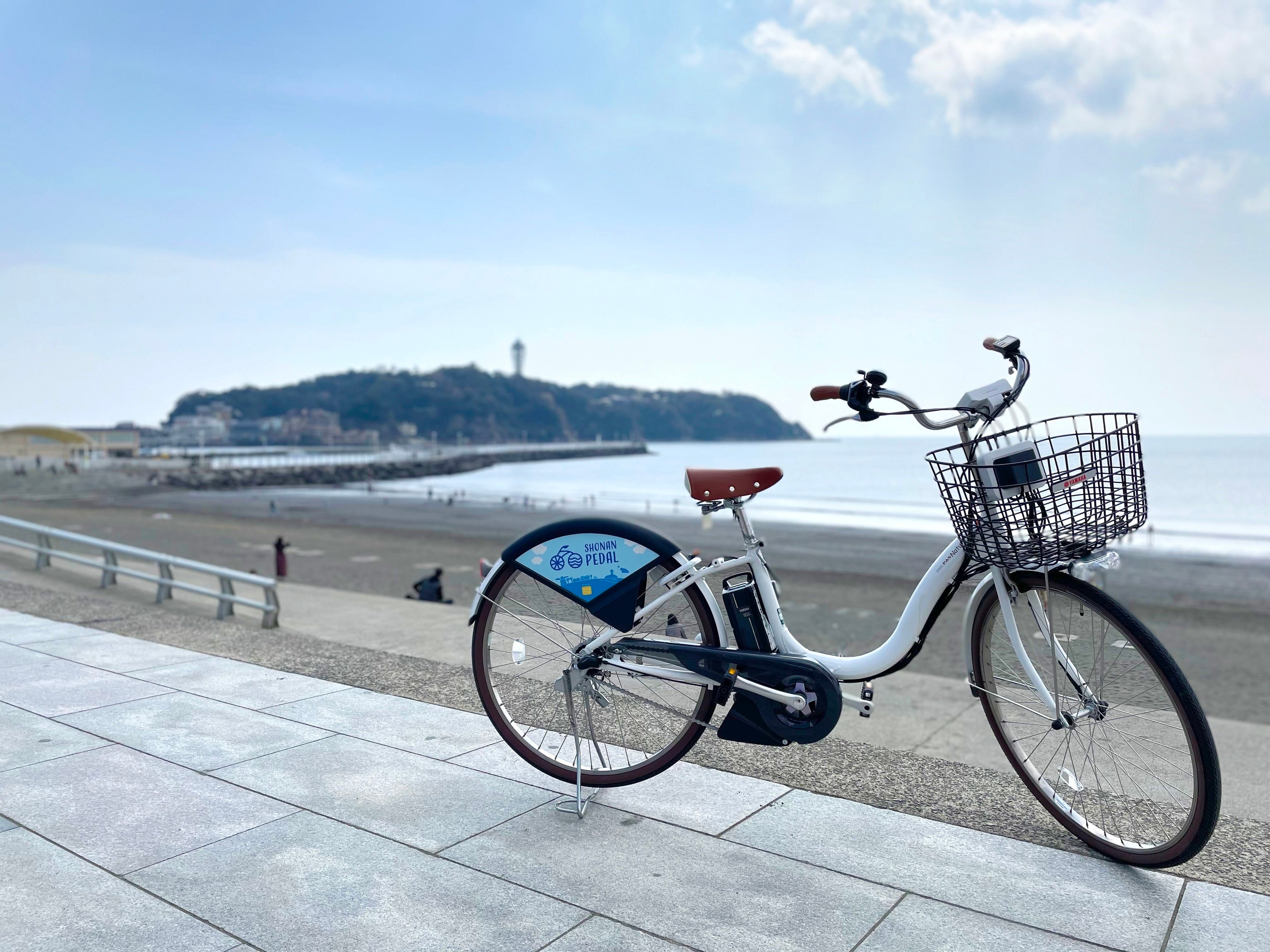 電動アシスト自転車