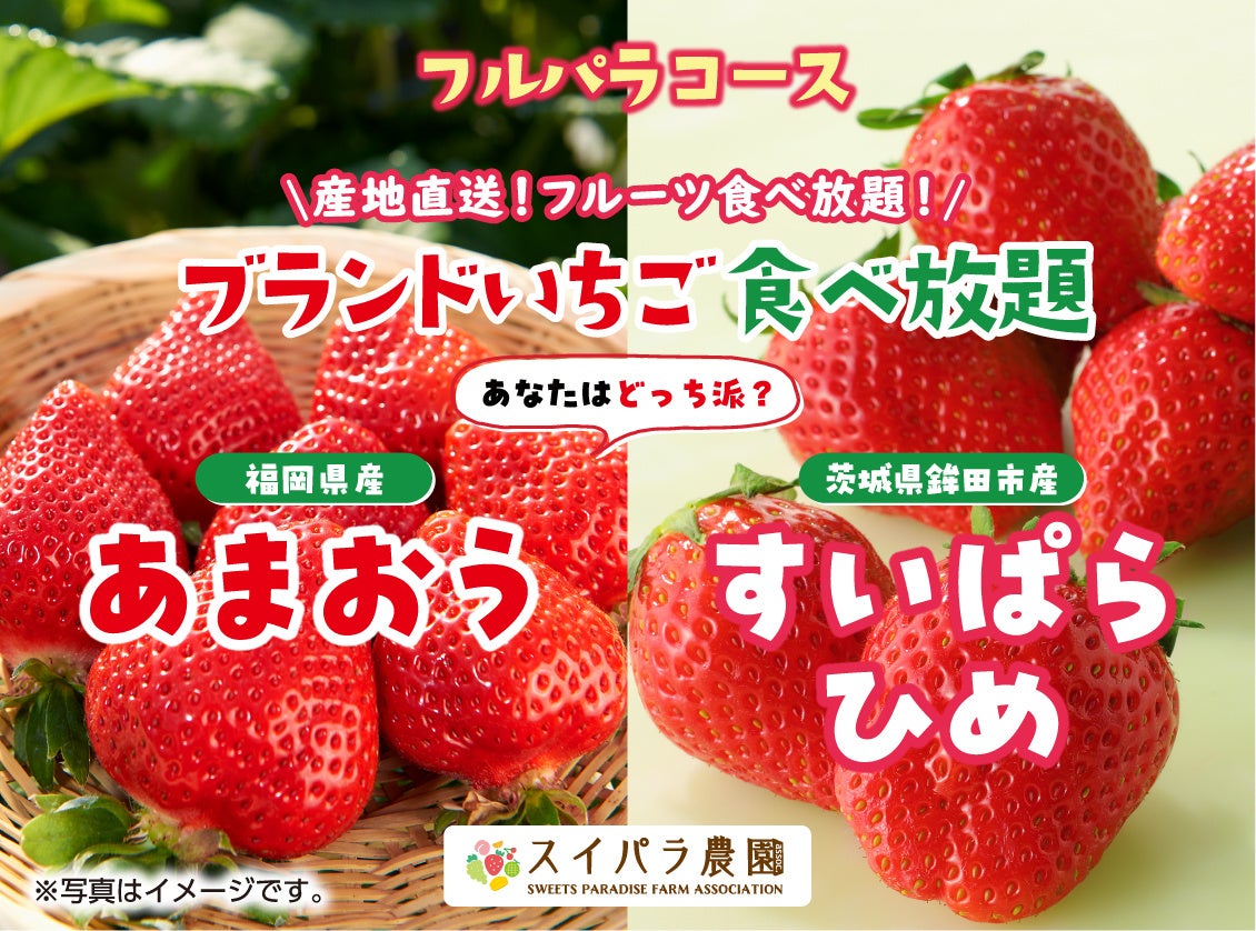 「あまおう」「すいぱらひめ」あなたはどっち派？　2/20からの「ブランドいちご食べ放題」では大人気ブランドいちごの食べ比べを開催！