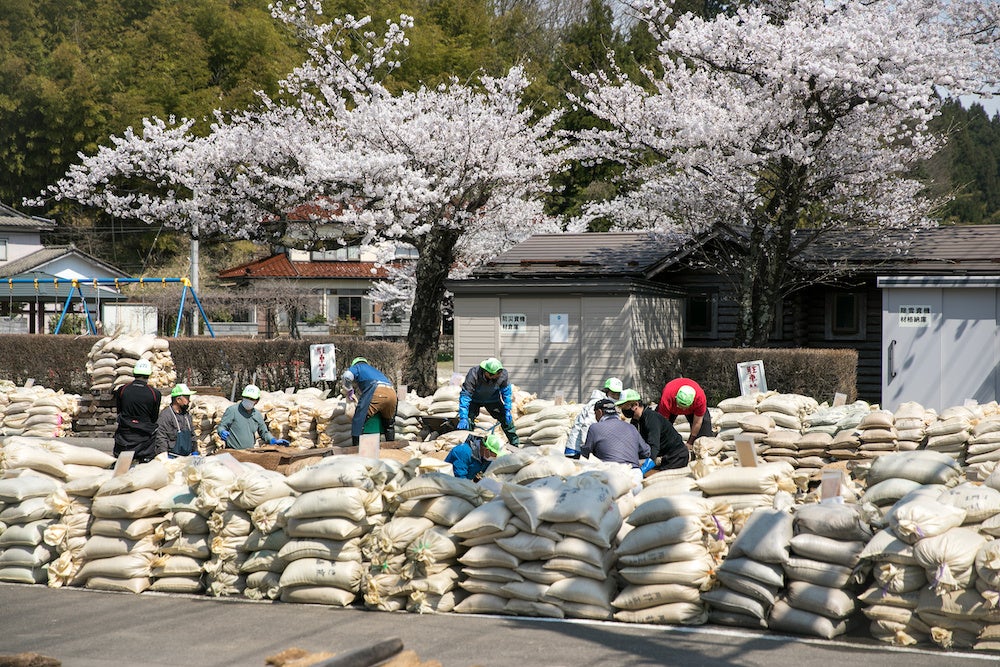 催芽場に複数ある温泉水の水槽に浸けての芽出し作業