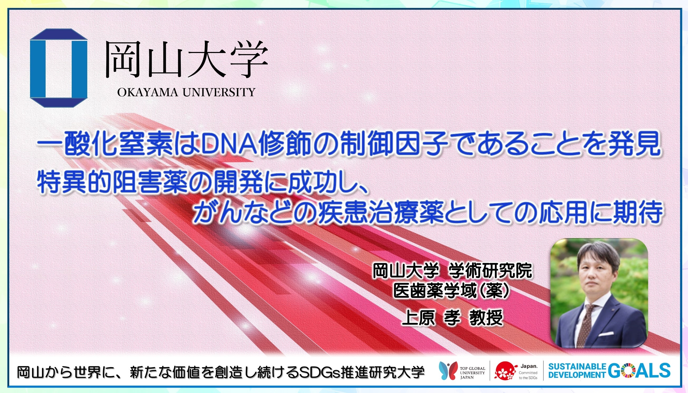 【岡山大学】一酸化窒素はDNA修飾の制御因子であることを発見 ～特異的阻害薬の開発に成功し、がんなどの疾患治療薬としての応用に期待～