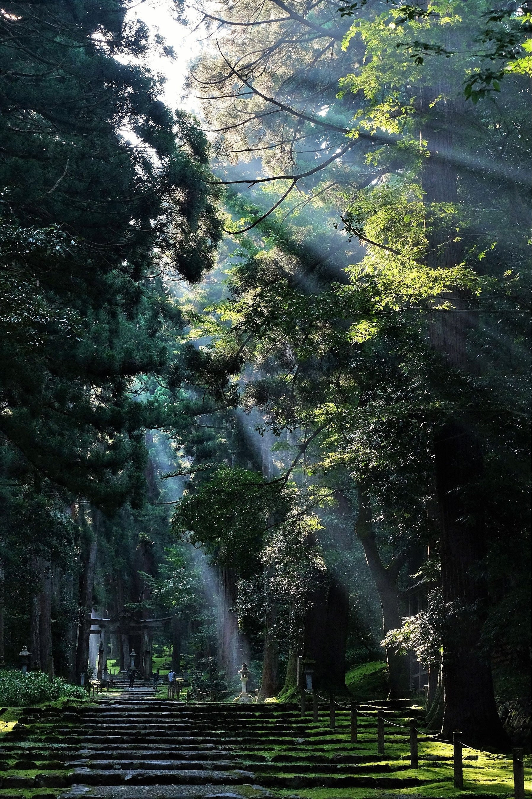 白山神社平泉寺