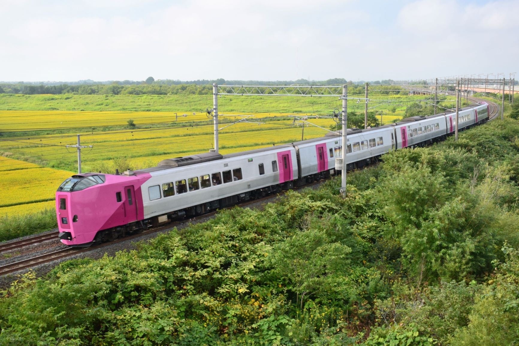 貸切列車と菜の花畑（イメージ）