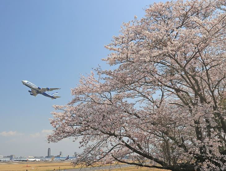 飛行機撮影に最適！Canon「EOS R6 Mark II」を1人1台貸出しいたします！NRT PhotoshootingTour ft. Charlie FURUSHO vol.4 ✈︎