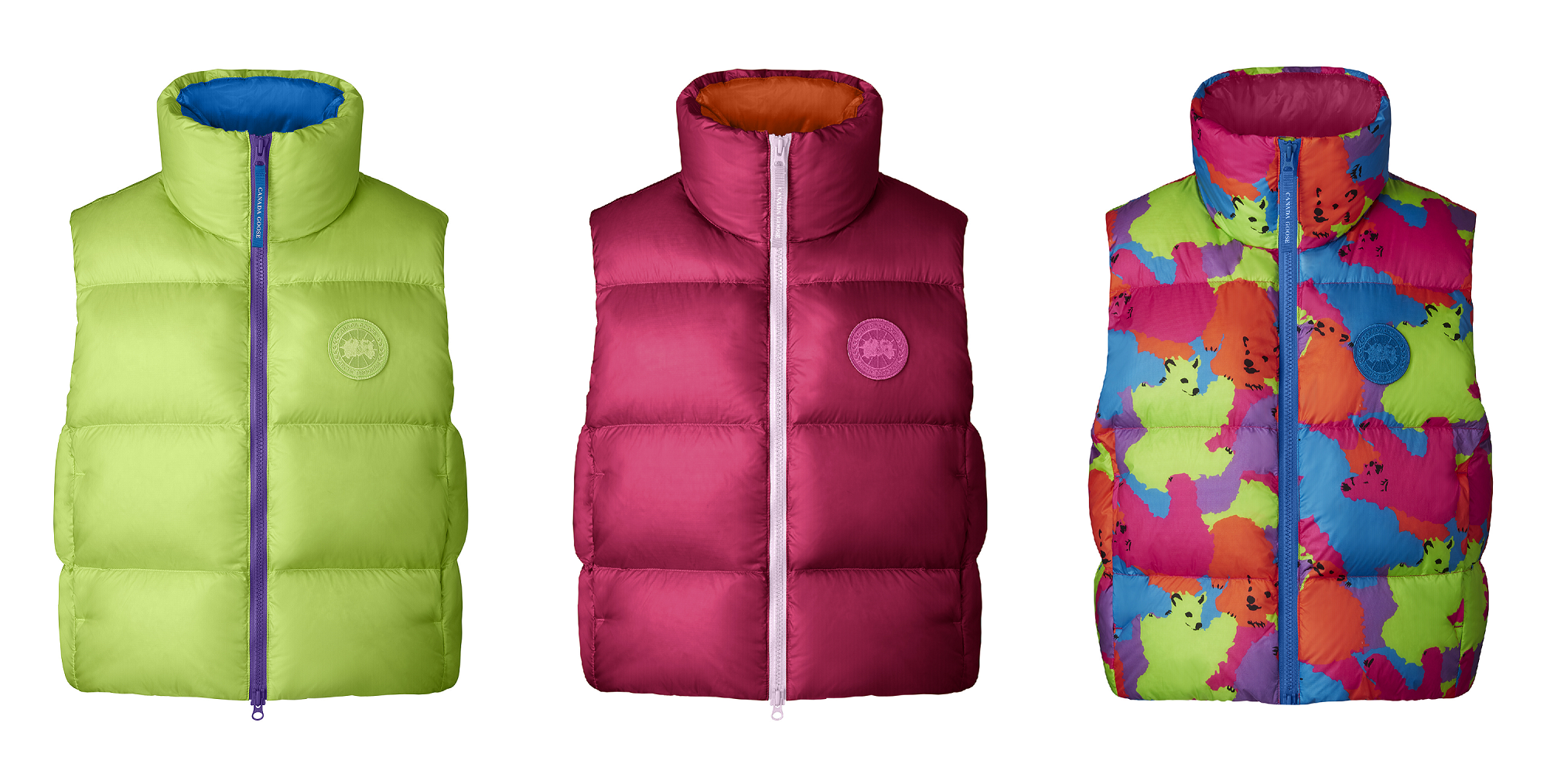 【左から：Neon Green , Fuchsia ,  Paola Pivi Bear Print】