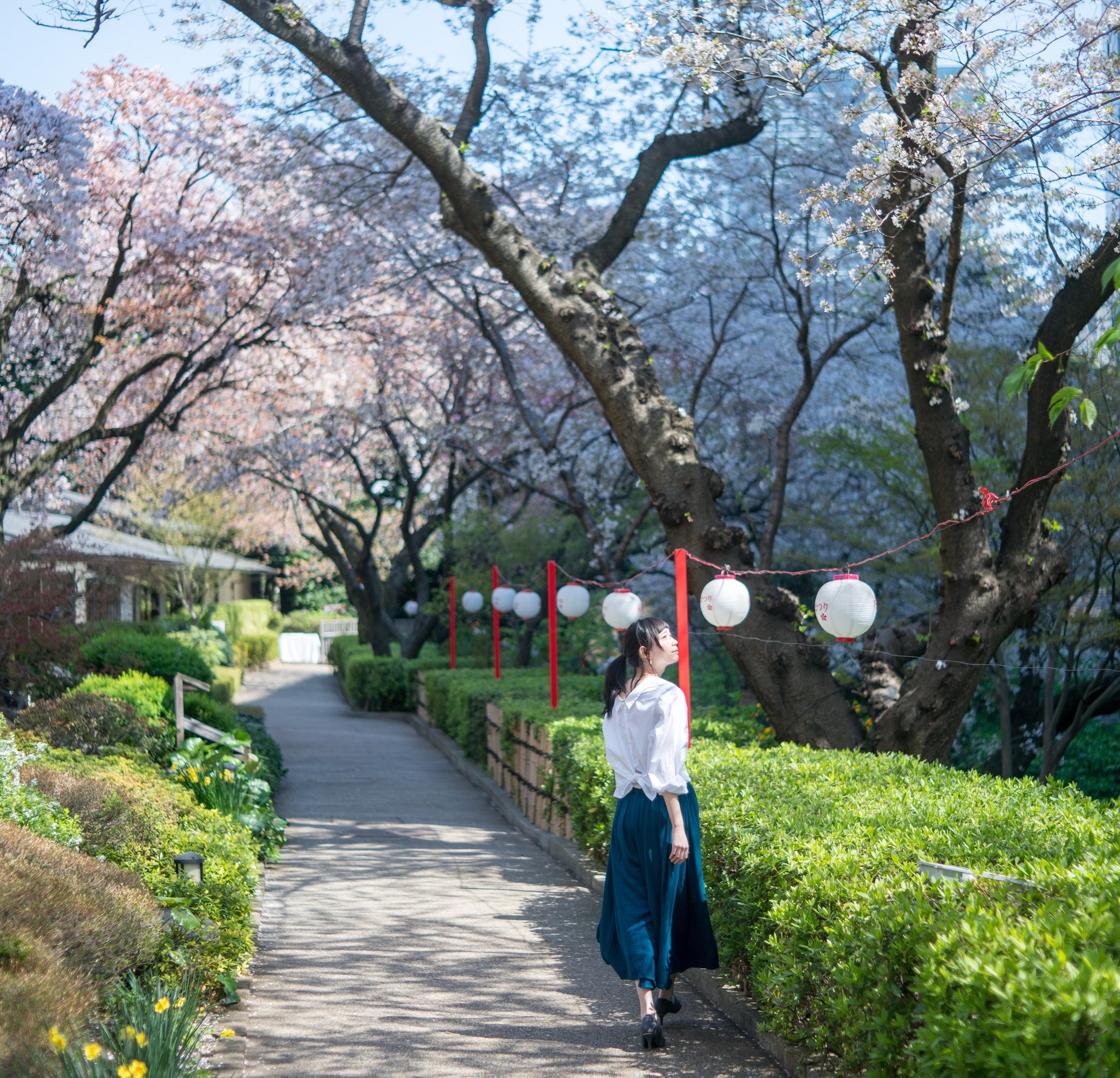 【高輪エリアのプリンスホテル】都心のホテルに咲き誇る約210本もの桜を愛でる春のイベント「高輪 桜まつり2023」を今年も開催