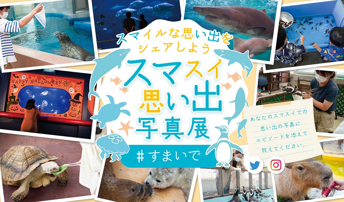 【神戸市立須磨海浜水族園】SNSでスマイルな思い出をシェアしよう！「スマスイ思い出写真展」の作品を募集いたします