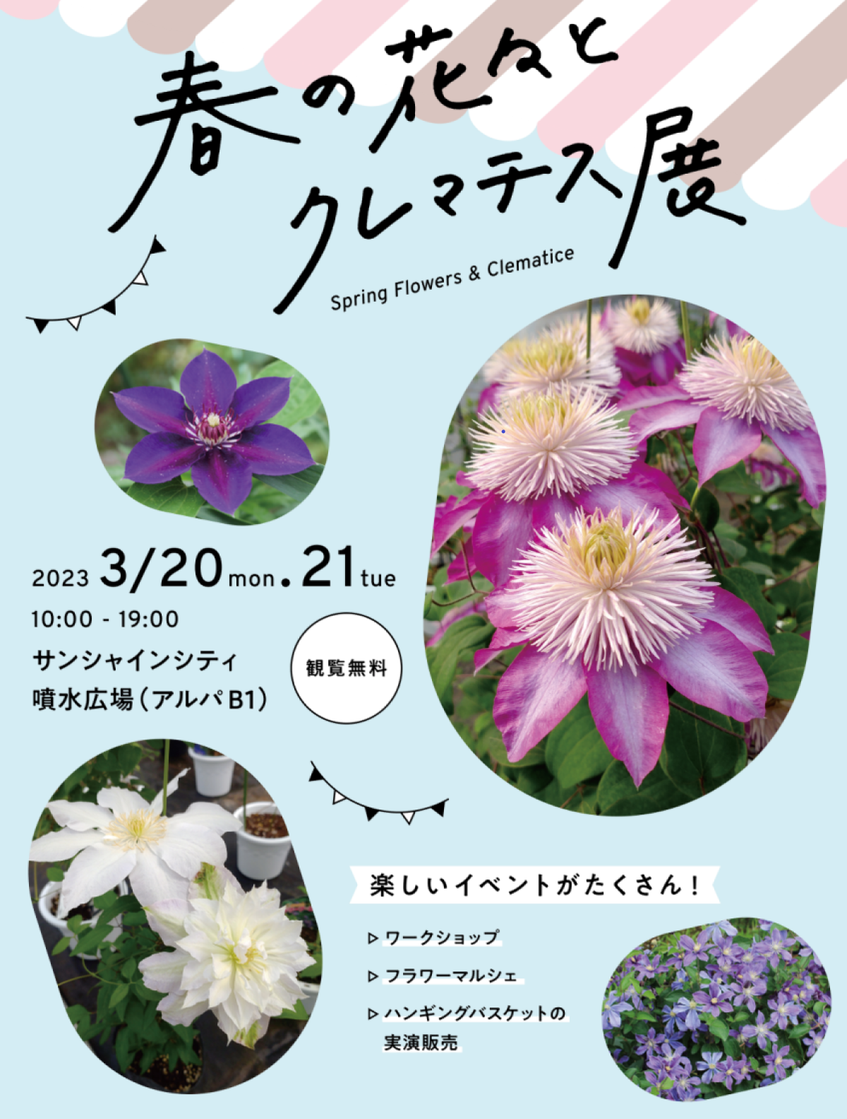 花々の華麗さの競演でお客様をおもてなし「春の花々とクレマチス展」開催！