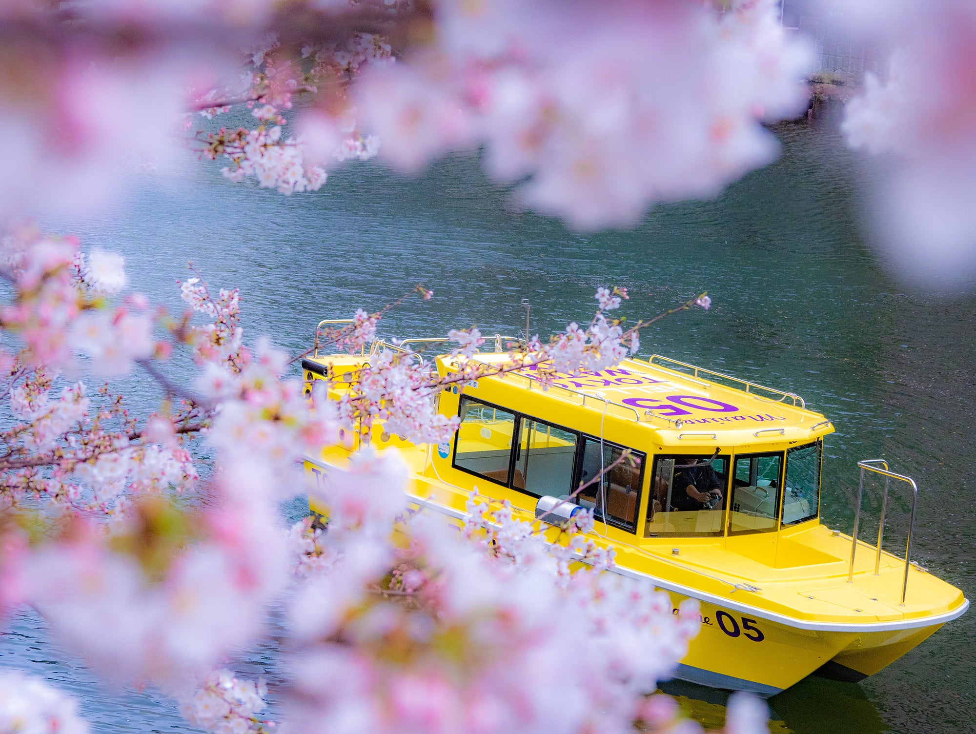 春爛漫のお花見クルーズが楽しめる宿泊プラン