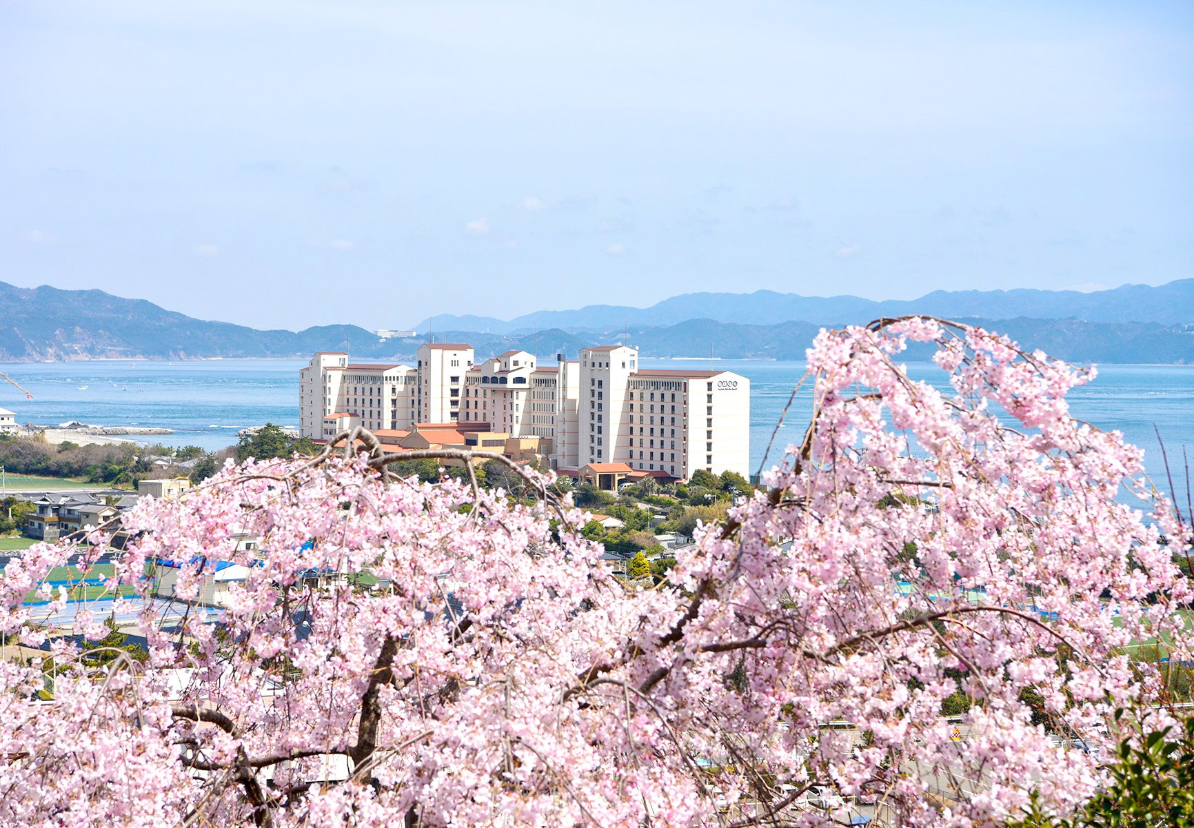 【日帰りお花見＆温泉プラン】鳴門海峡と大鳴門橋を見晴らすパワスポ「花見山」しだれ桜、アオアヲお花見弁当、鳴門温泉、海絶景カフェでケーキセット、鳴門鯛の釣り堀、いつもの春が来る。