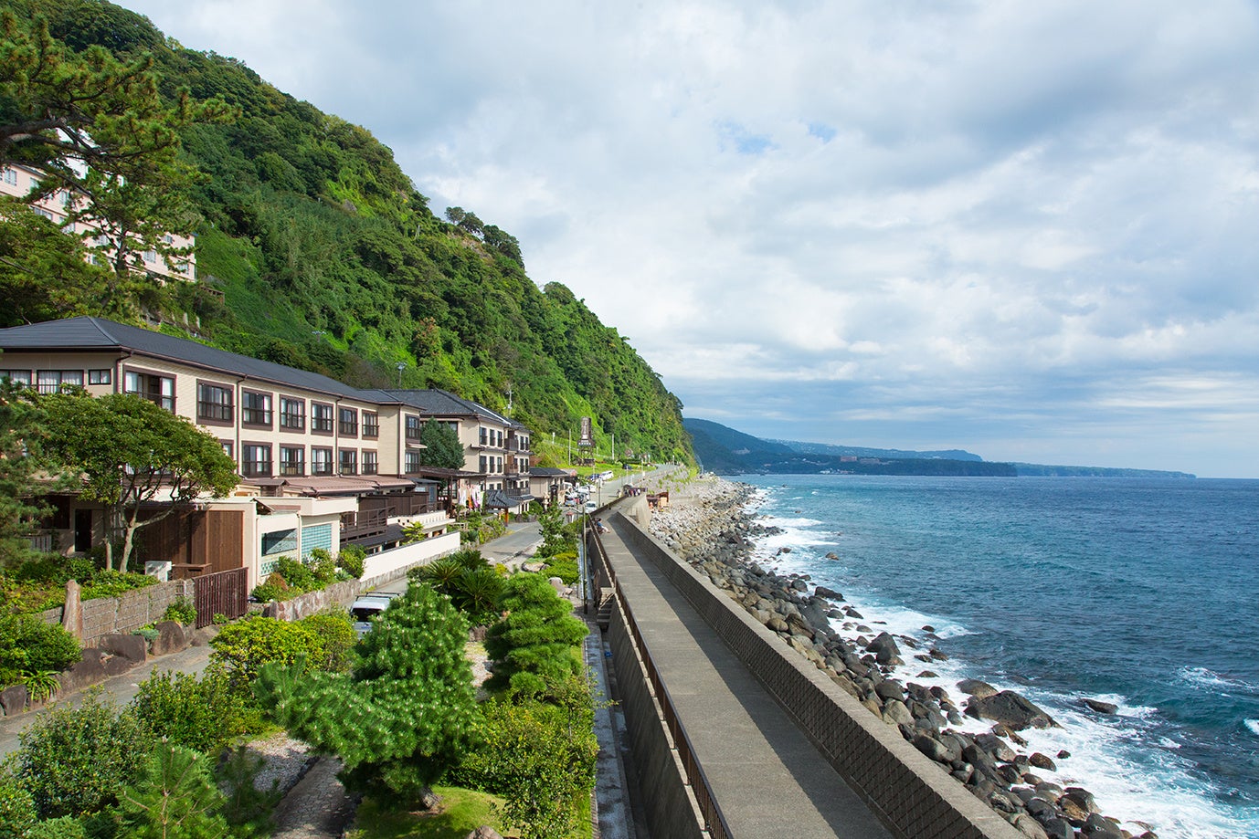 【美味少賛】伊勢海老・鮑・金目鯛・地魚など、伊豆の海幸を少しずつ贅沢に。シニアや女性、お酒好きな方におすすめの会席料理が登場。