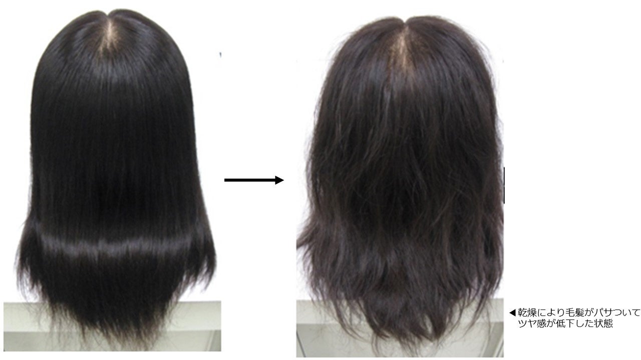 (図 2) 乾燥による毛髪状態の違い：ホーユー ㈱調査