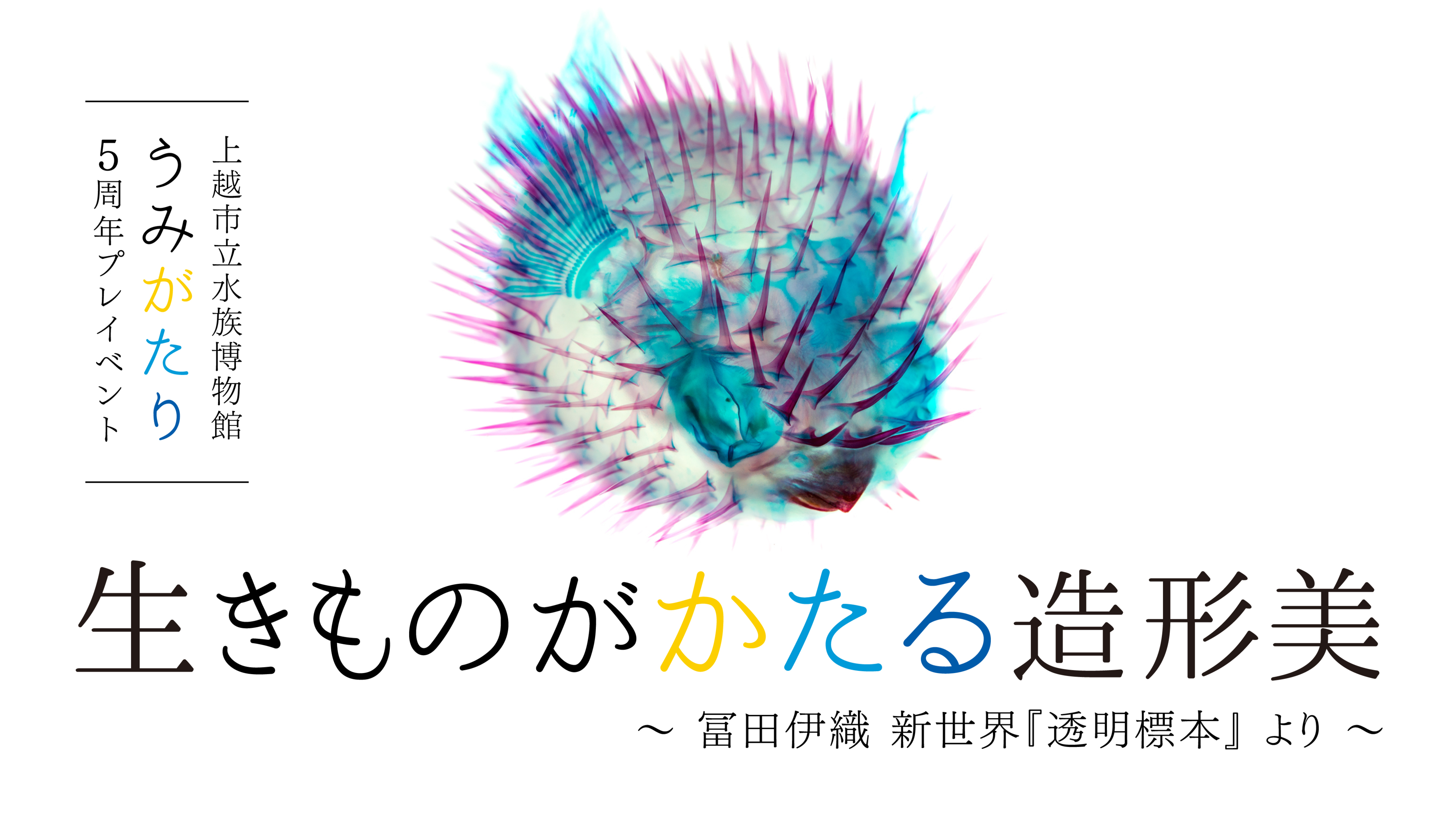 【上越市立水族博物館】「うみがたり5周年プレイベント」生きものが語る造形美開催！【令和５年３月２１日（火・祝）～５月２１日（日）】