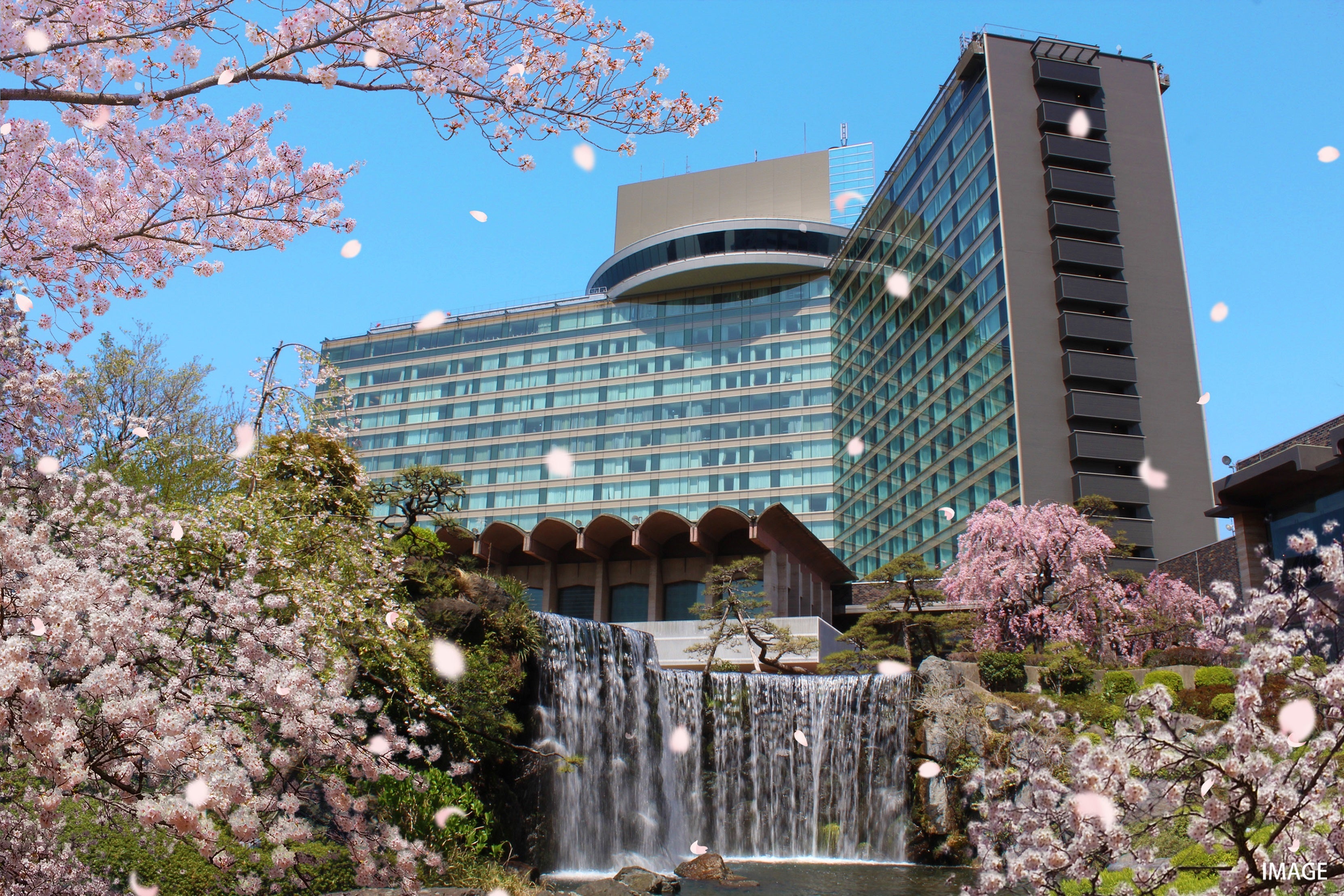 今年の桜は“観測史上最早”開花！「桜の名所 ニューオータニ」が贈る春爛漫商品一挙紹介！