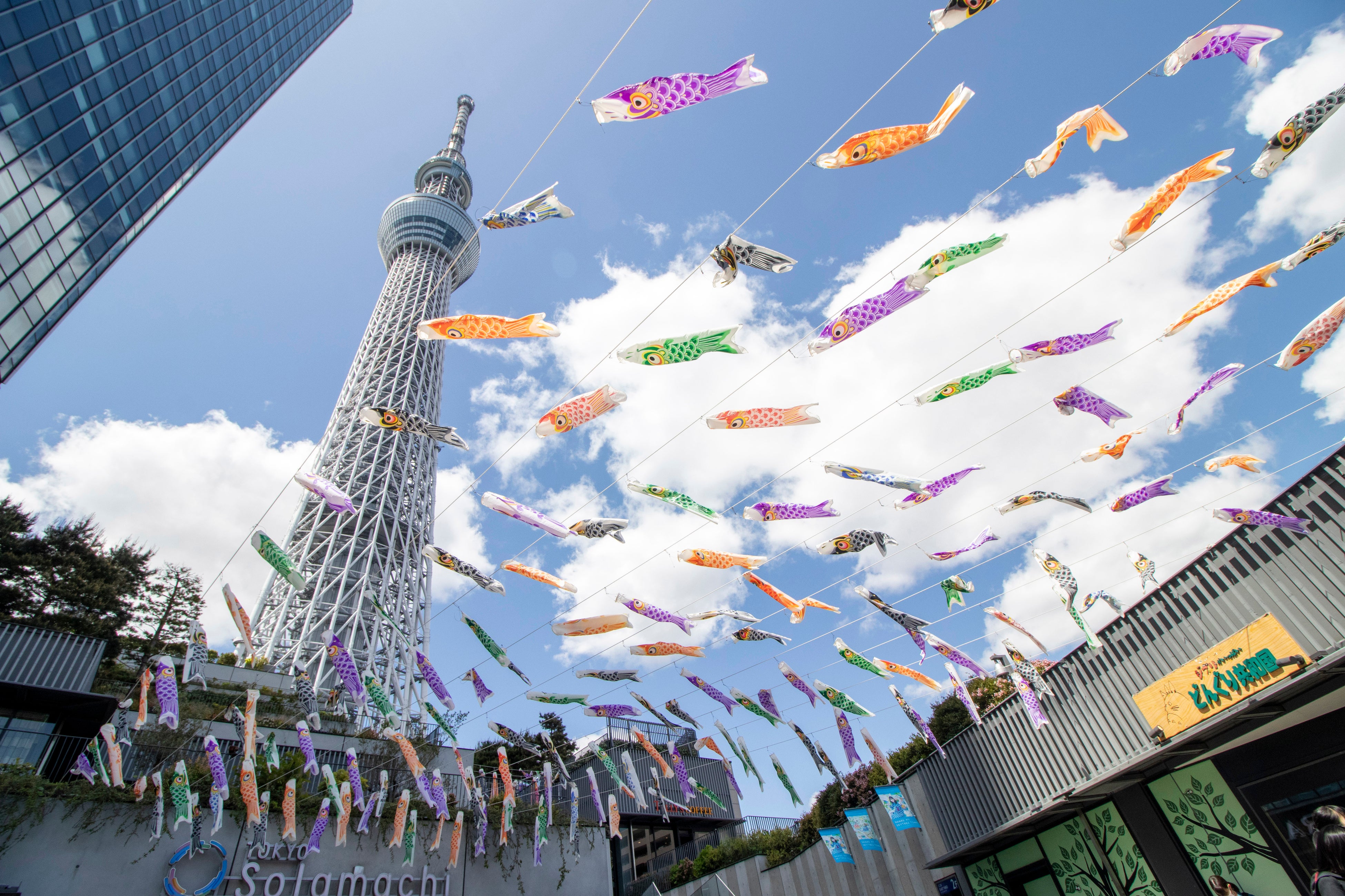 ソラミ坂（過去の様子）(C)TOKYO-SKYTREETOWN