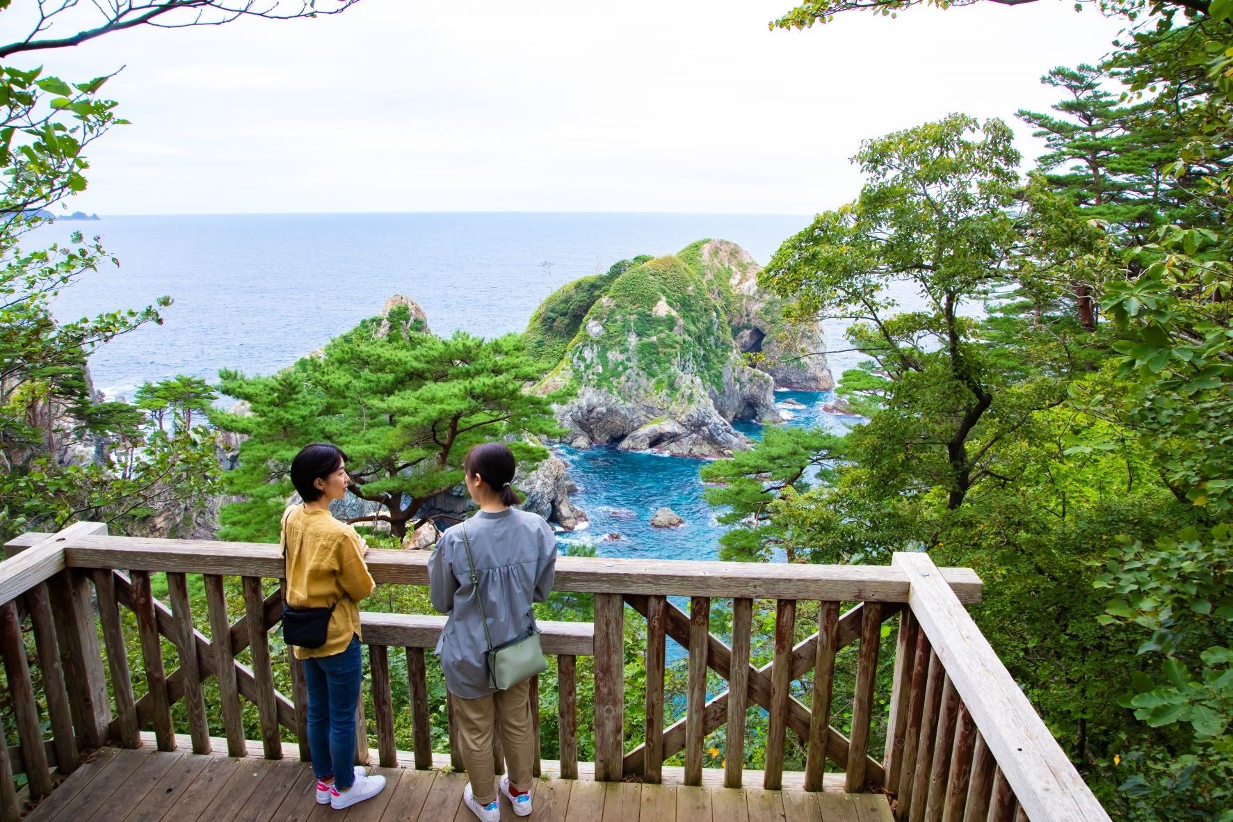 敷地内の遊歩道には、ウミネコの繁殖地が目の前に見える「姉ヶ崎展望台」があります