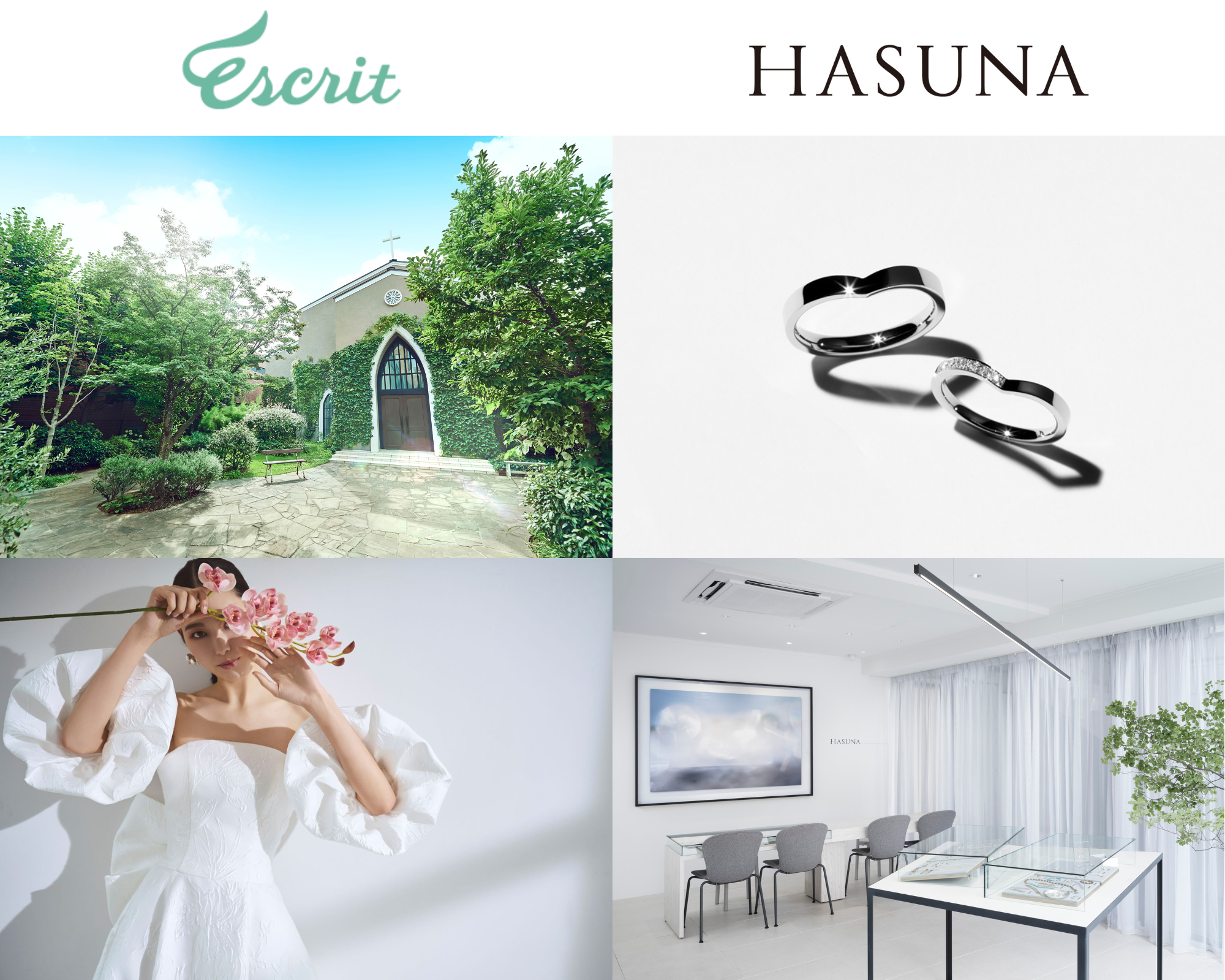 エシカルジュエリーブランド「HASUNA」と資本業務提携、ブライダルジュエリーのオリジナル商品開発へ