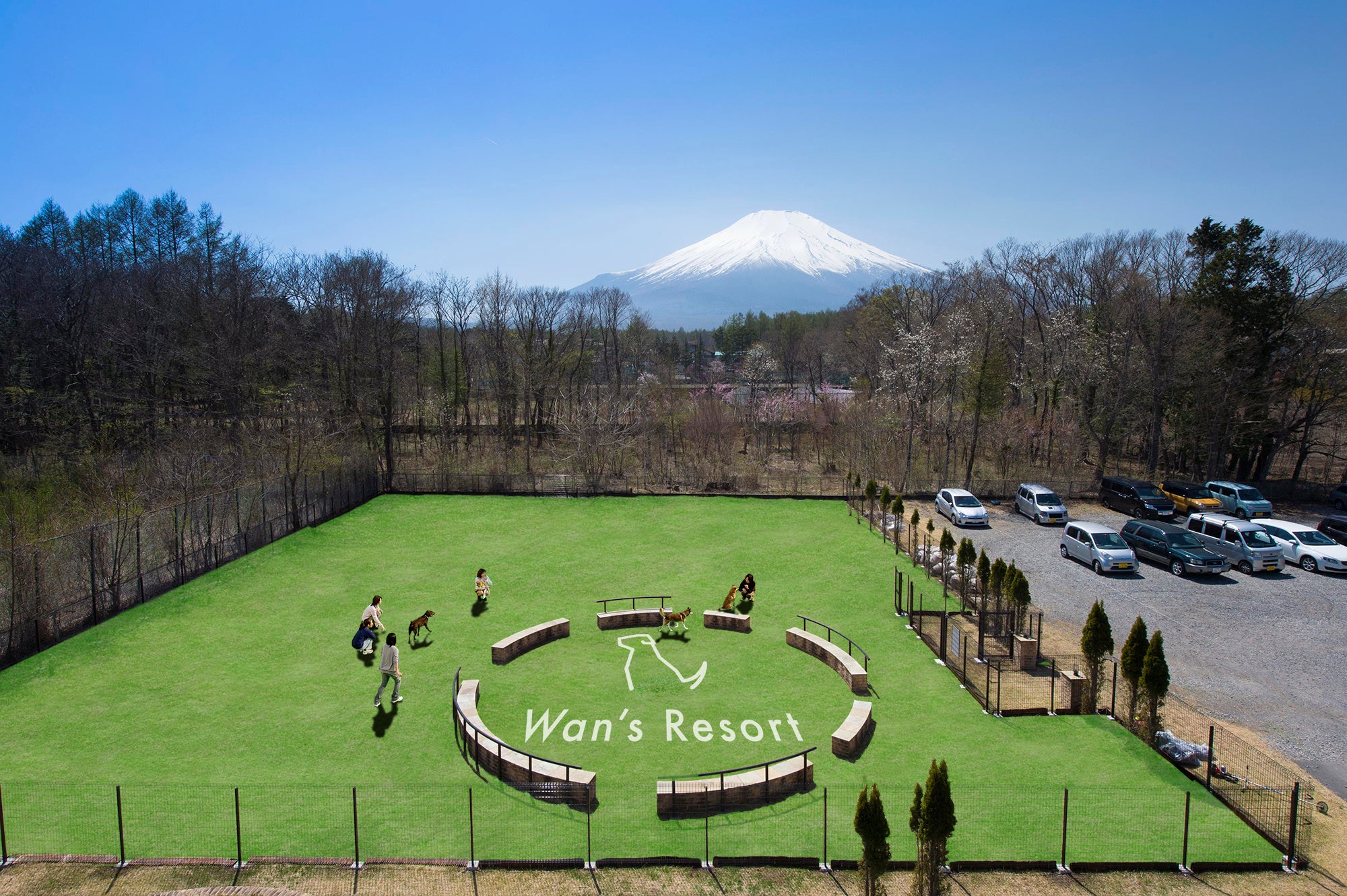 人工芝の屋外dog park