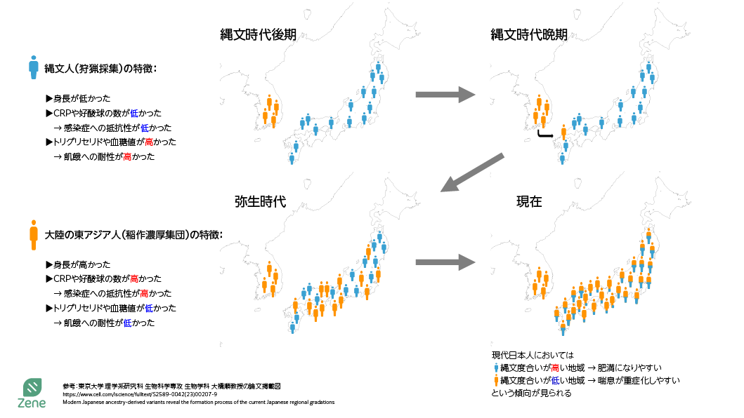 世界初(※)ゲノム解析による「縄文人度」解析サービスを提供開始、および国立科学博物館館長特別記事を公開（※当社調べ2023/4/11）