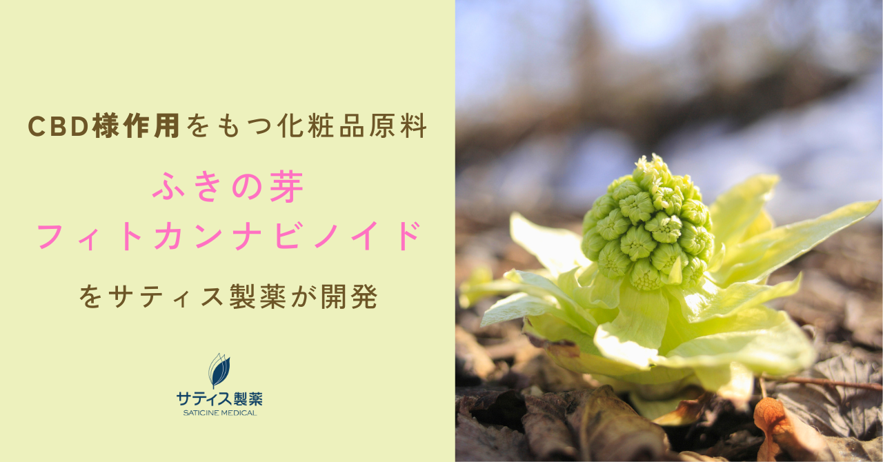 春一番の苦み食材「ふきのとう」から、CBD様作用で皮脂バランスを整える化粧品原料を開発