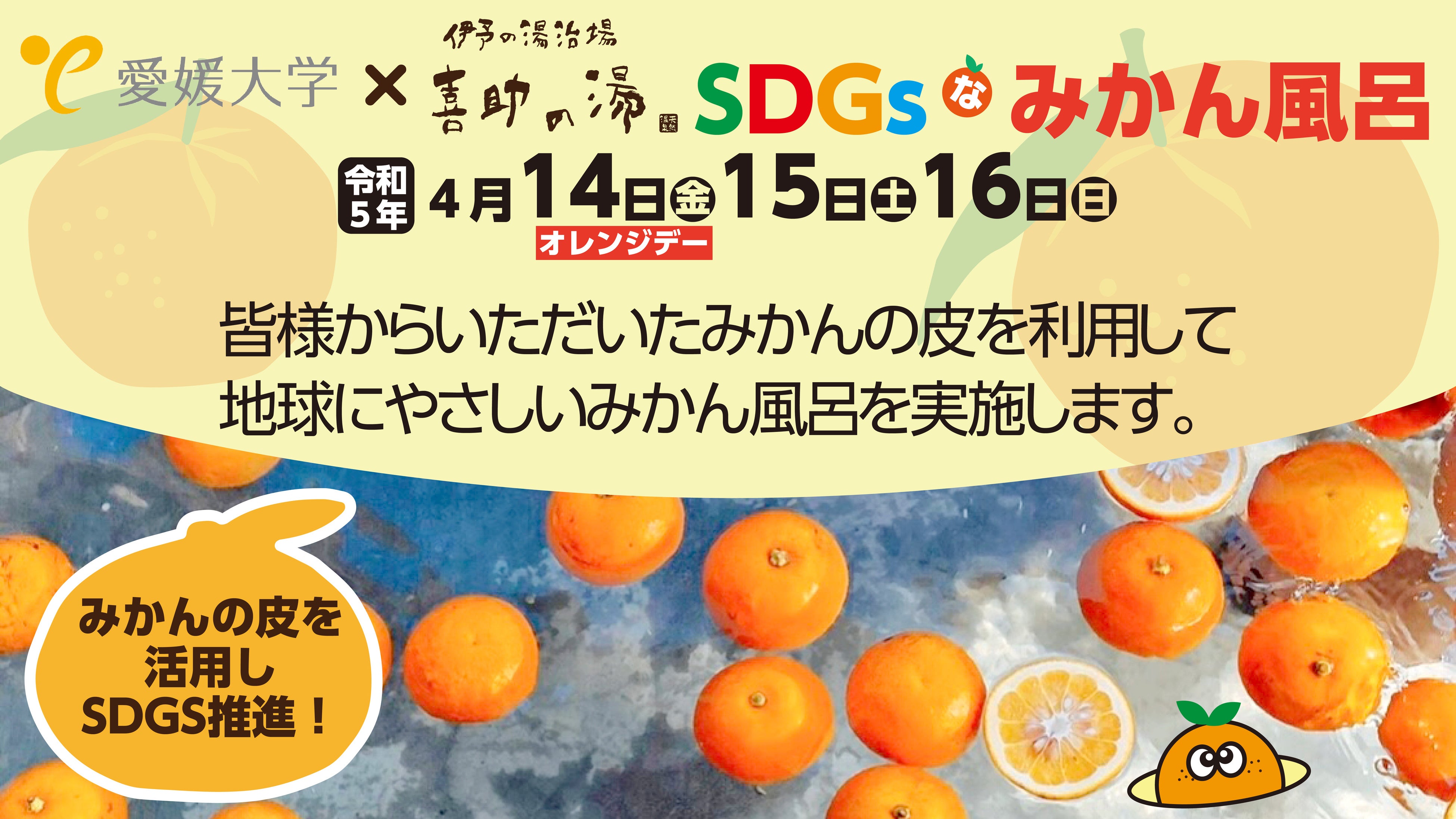 4月14日はオレンジデー！みかんの皮を活用しSDGsを促進する【SDGsなみかん風呂】イベントを愛媛大学とのコラボで開催【愛媛県・喜助の湯】