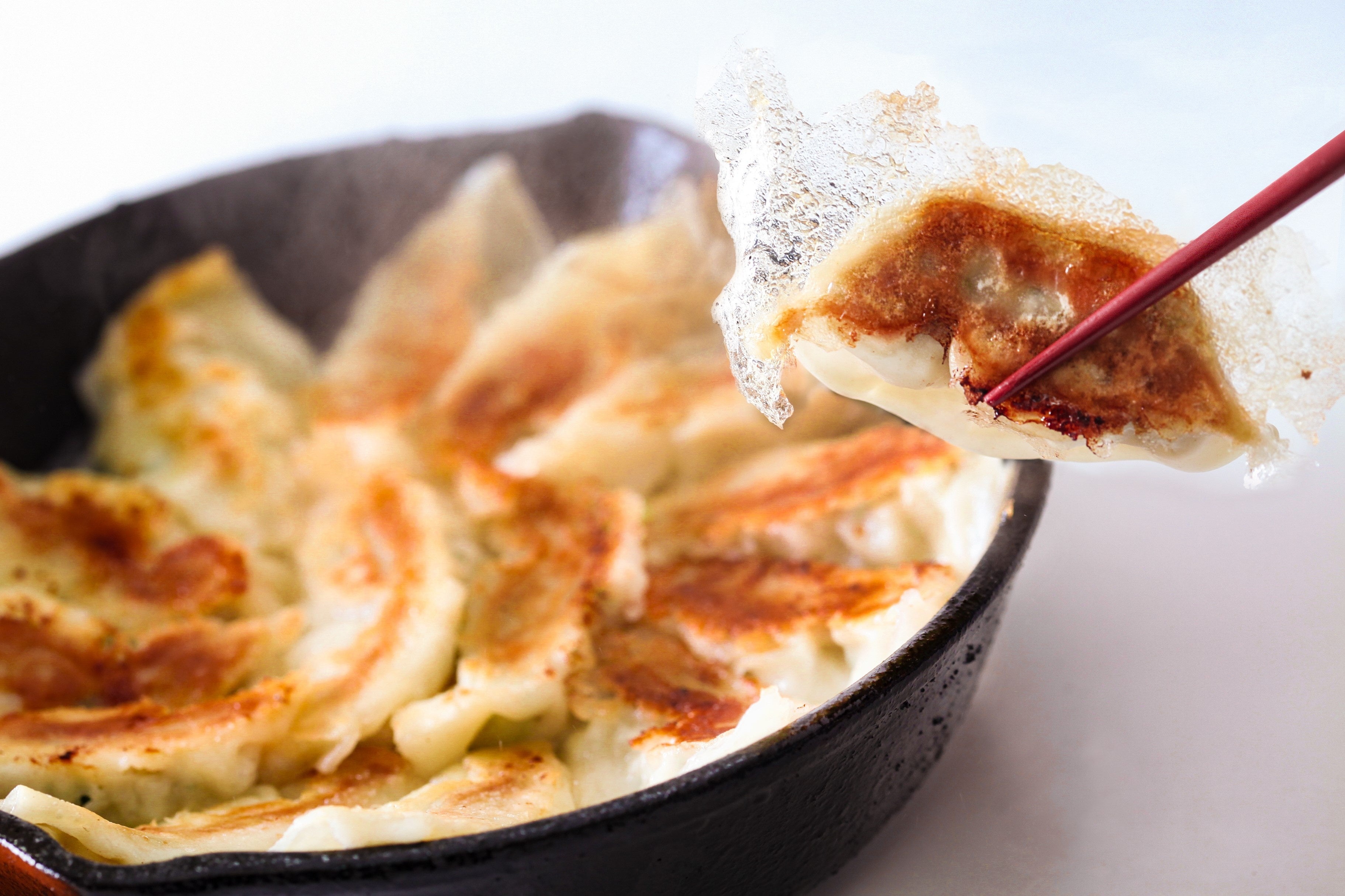 ▲焼き餃子が簡単にカリっと！羽根つきにも♪