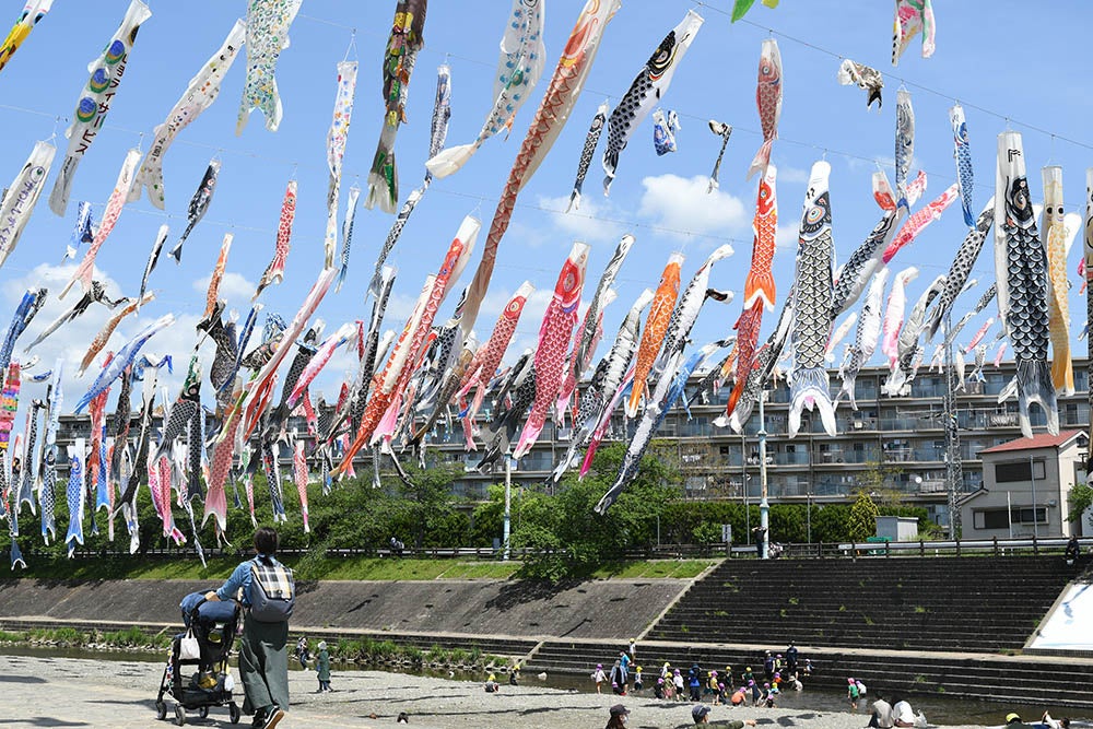 1000匹のこいのぼりが高槻市・芥川の上空を今年も泳ぐ