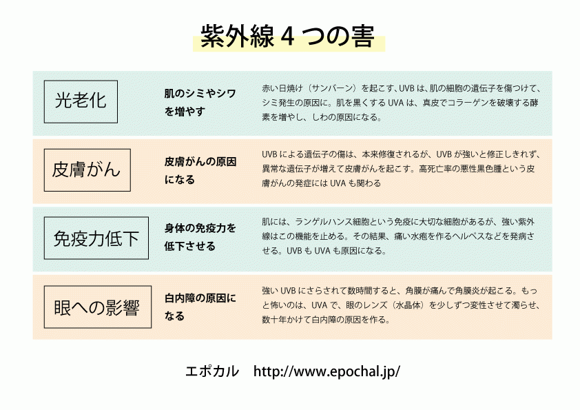 エポカル　紫外線対策講座より