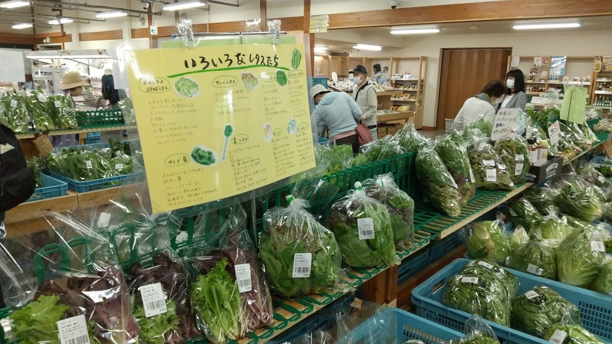 岡山県美作産