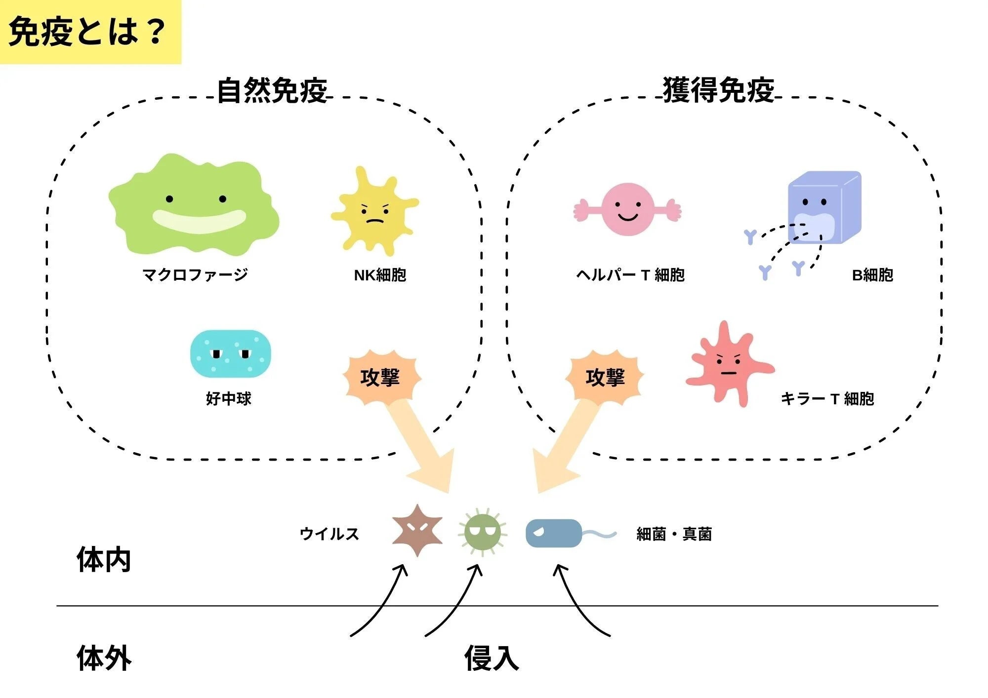 健康意識の高いシニア男女263名に調査！睡眠改善のために「サプリメントや漢方」といった健康食品に興味を持っている50〜60代は70〜90代に比べて10.6%多いことが判明。