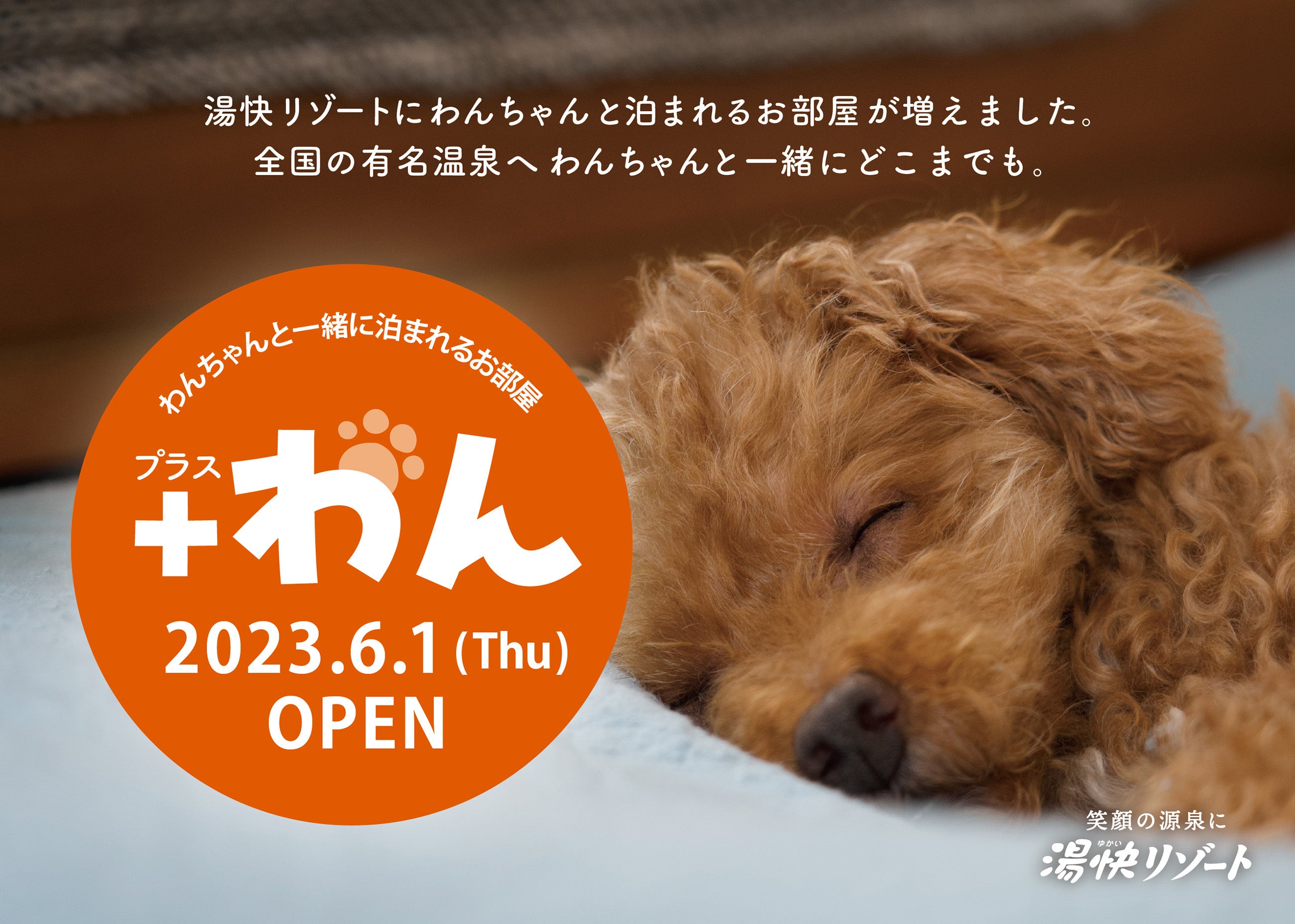 わんちゃんと一緒に泊まれるお部屋「プラスわん」2023年6月1日(木)オープン！