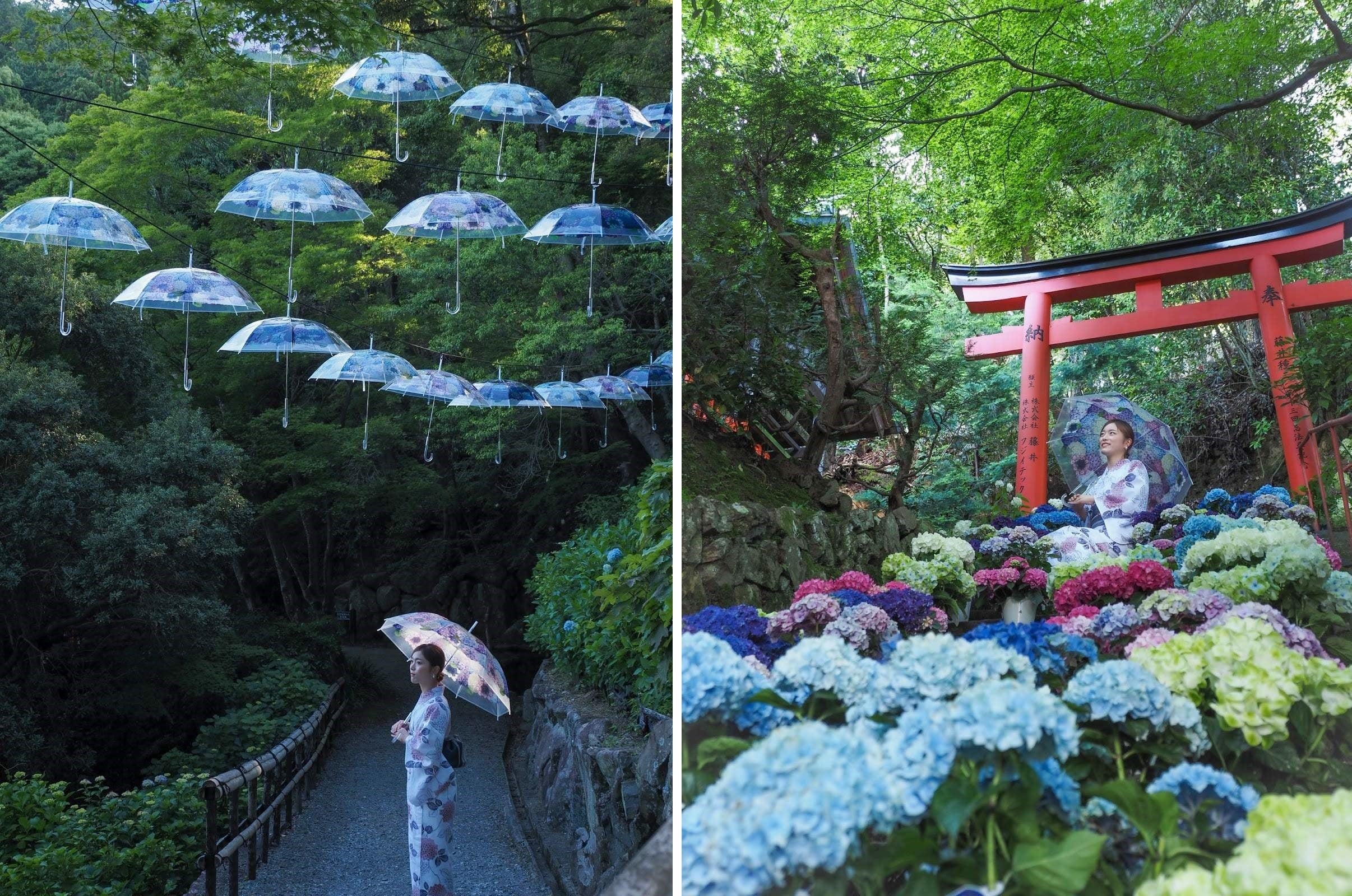 紫陽花の花手水が話題の京都柳谷観音楊谷寺とフェリシモが「紫陽花の傘」のアンブレラスカイを共催（6月6日〜6月30日まで）